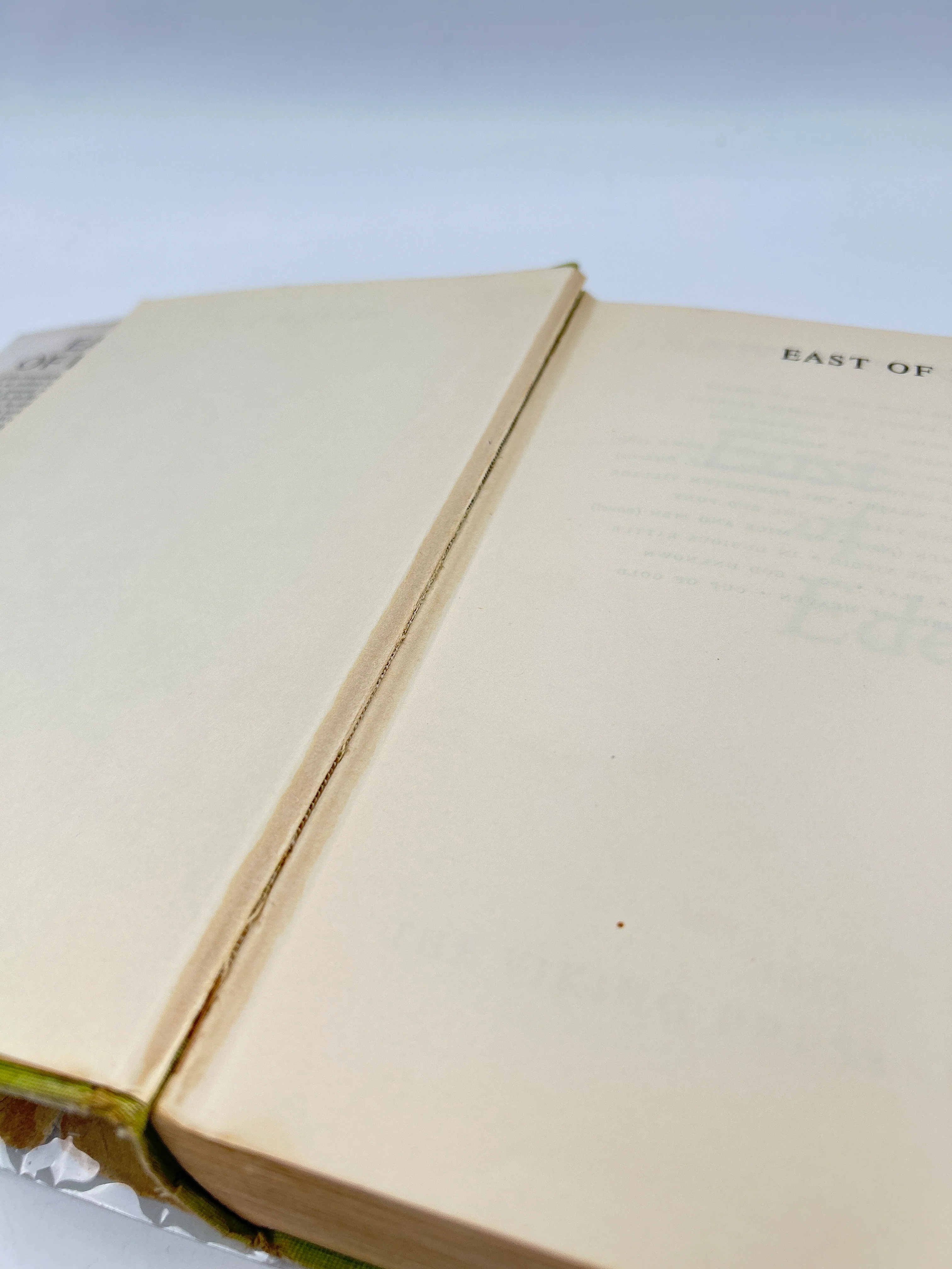 East of Eden - Image 4