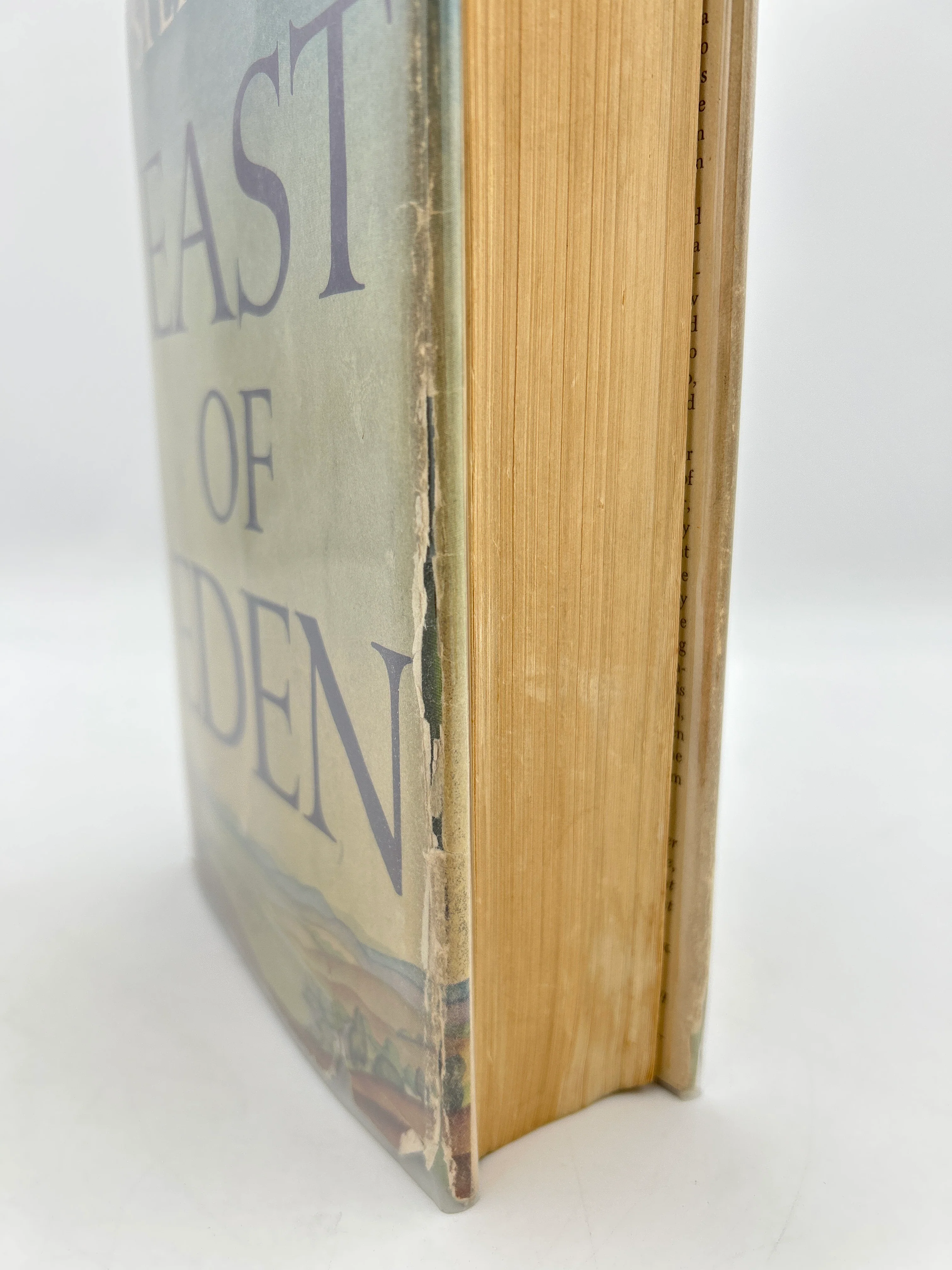 East of Eden - Image 7