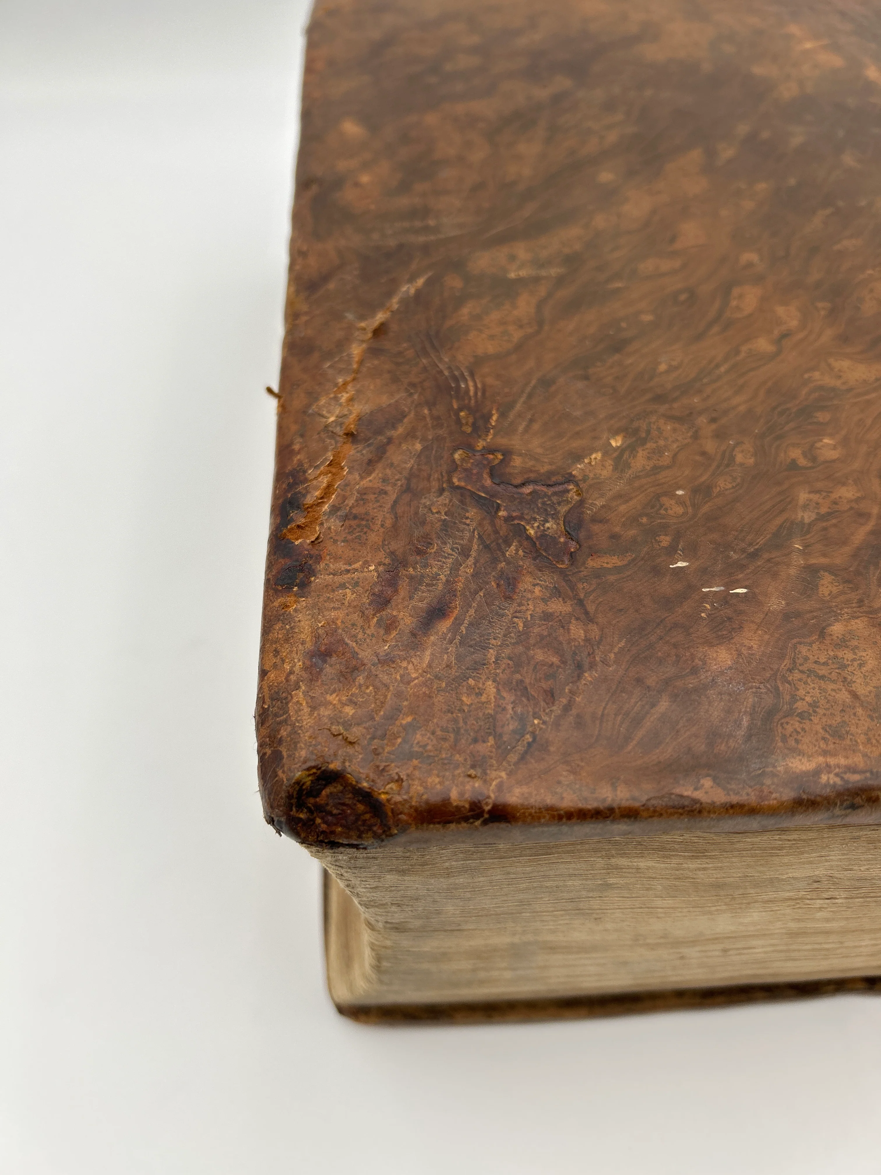 Foxe’s Book of Martyrs - Image 5