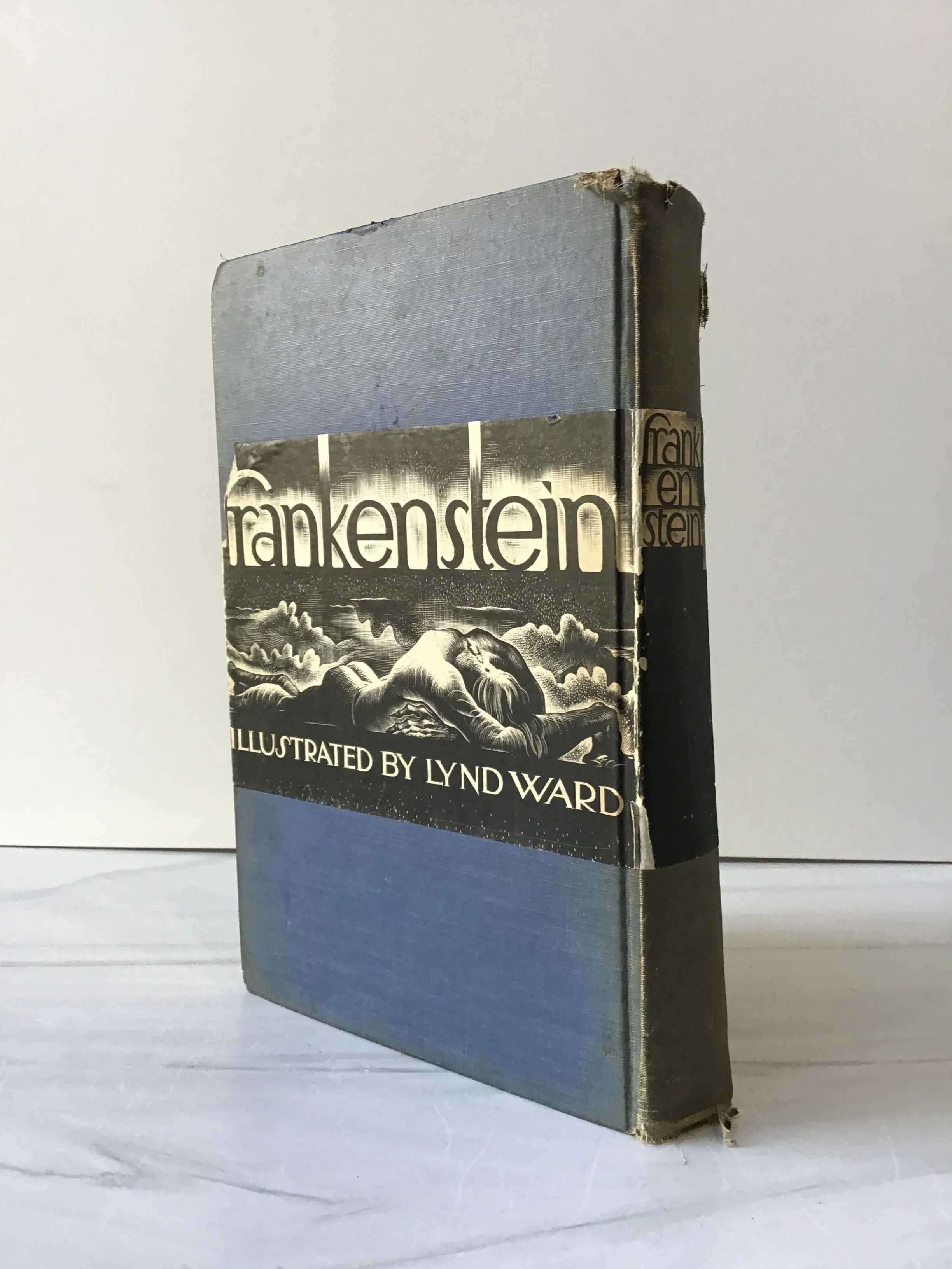 Frankenstein - Image 3
