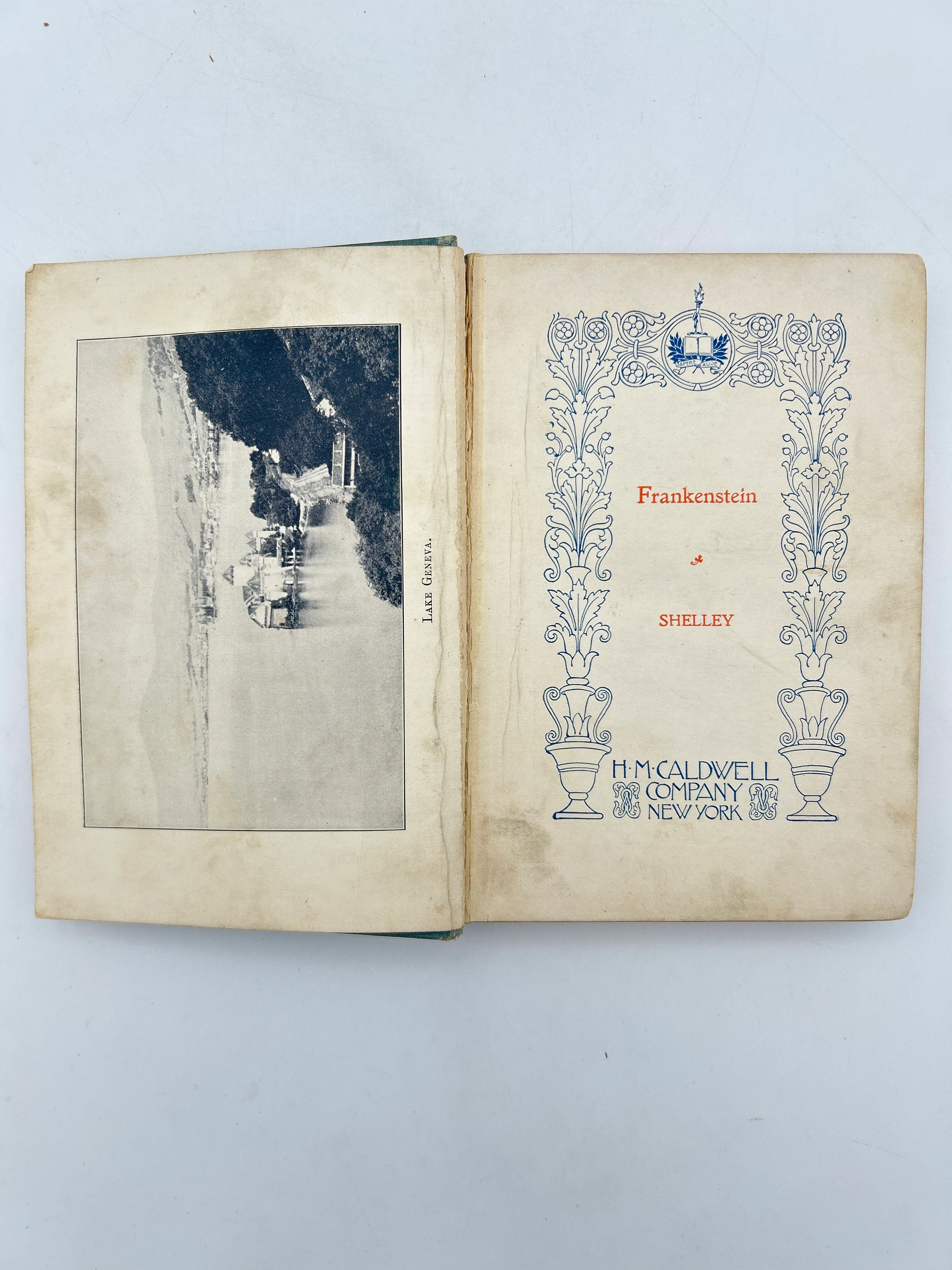 Frankenstein - Image 2