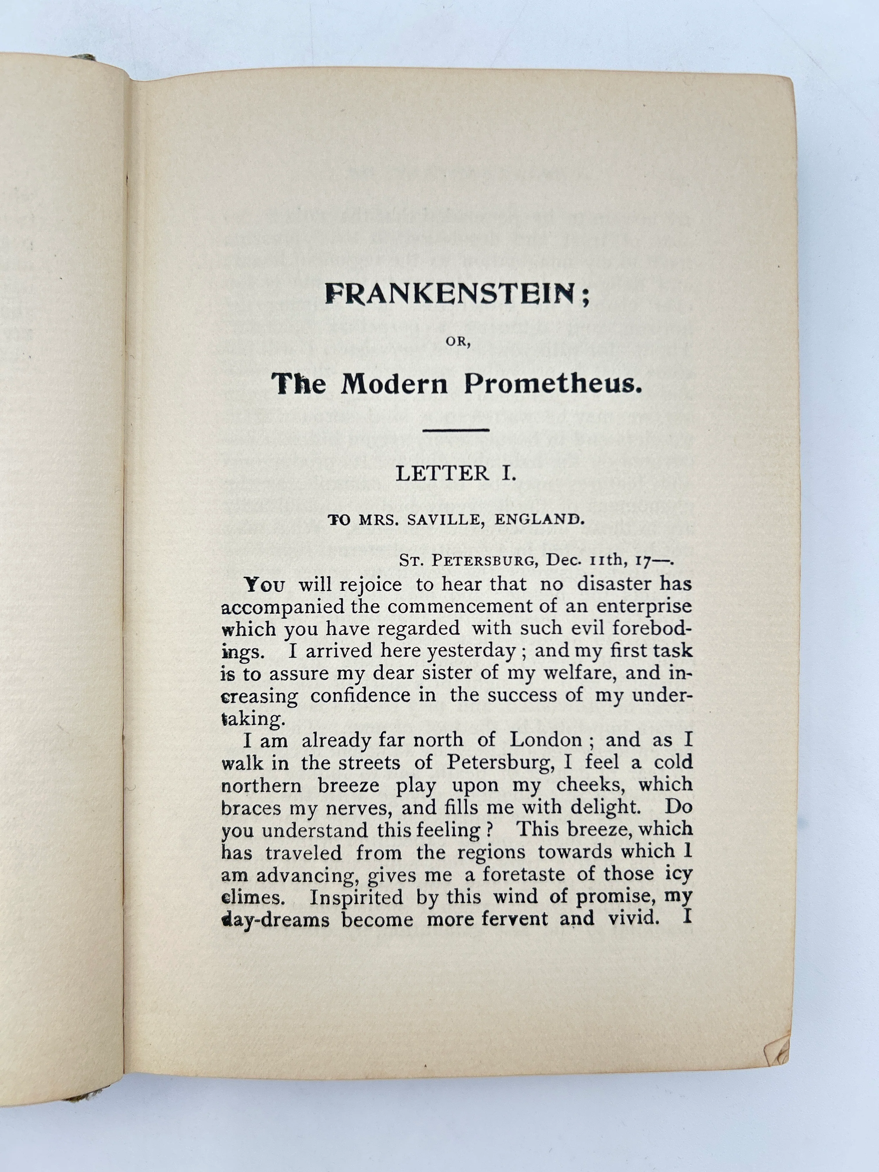 Frankenstein - Image 3