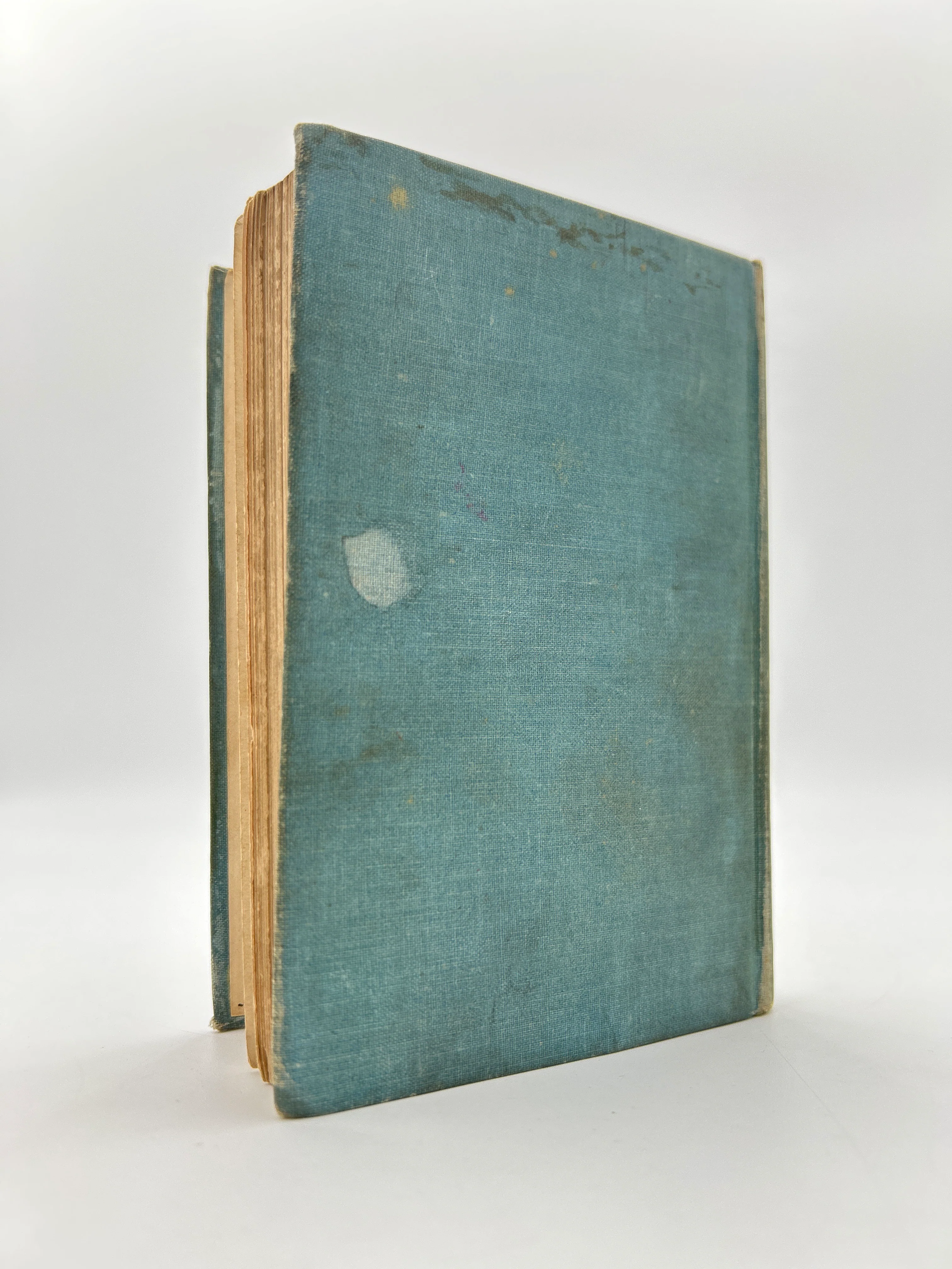 Frankenstein - Image 6
