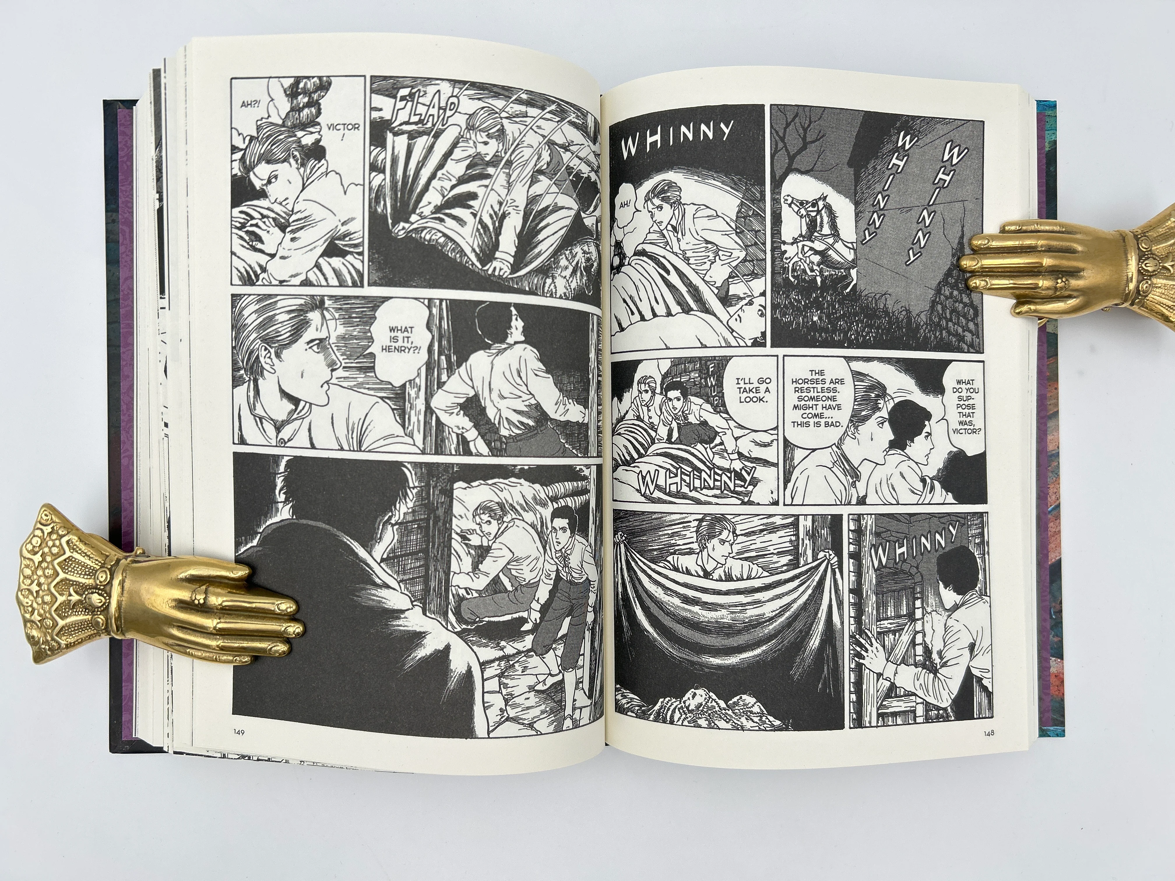 Frankenstein Graphic Novel - Image 3