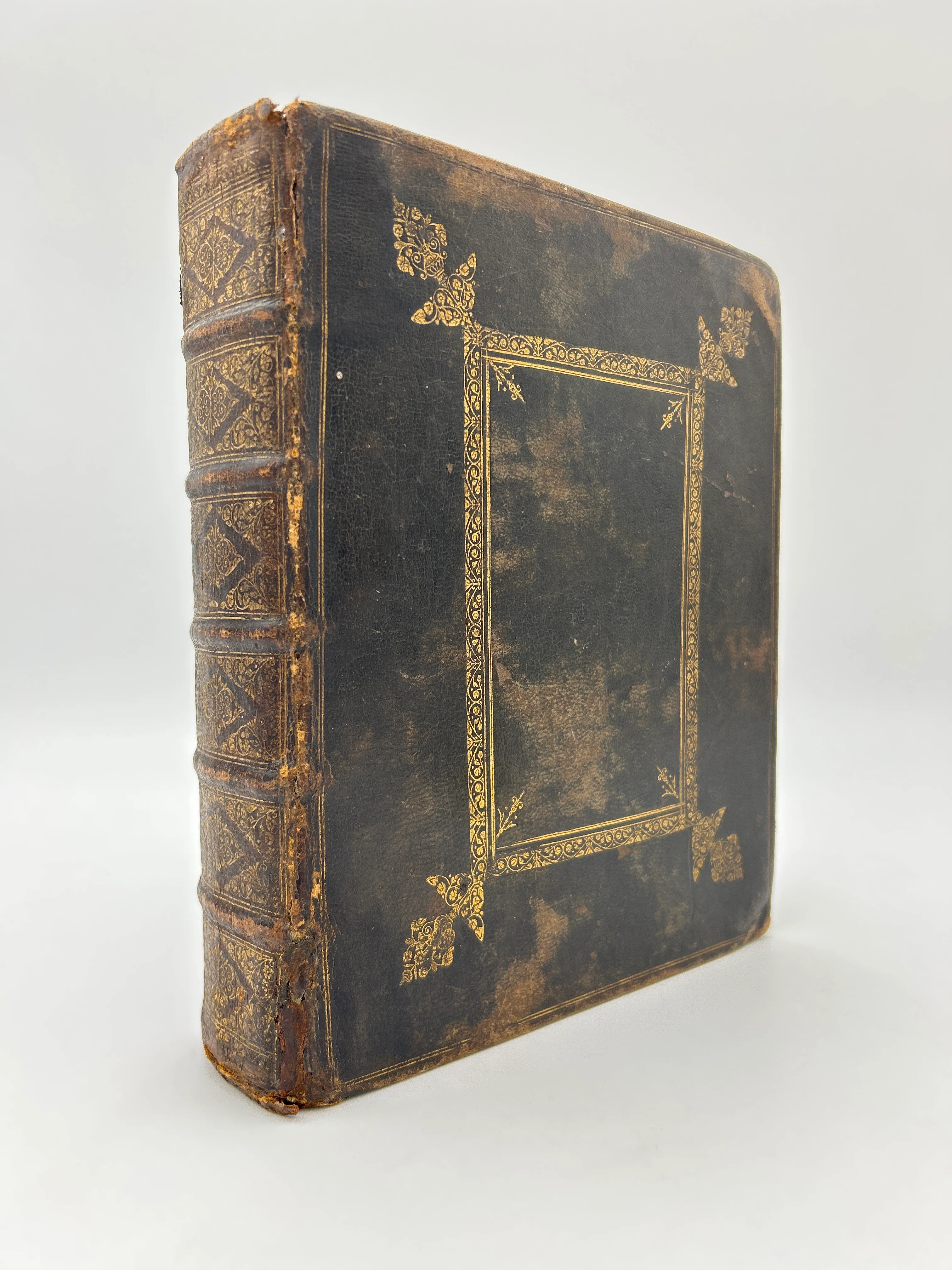 Geneva Bible 1599