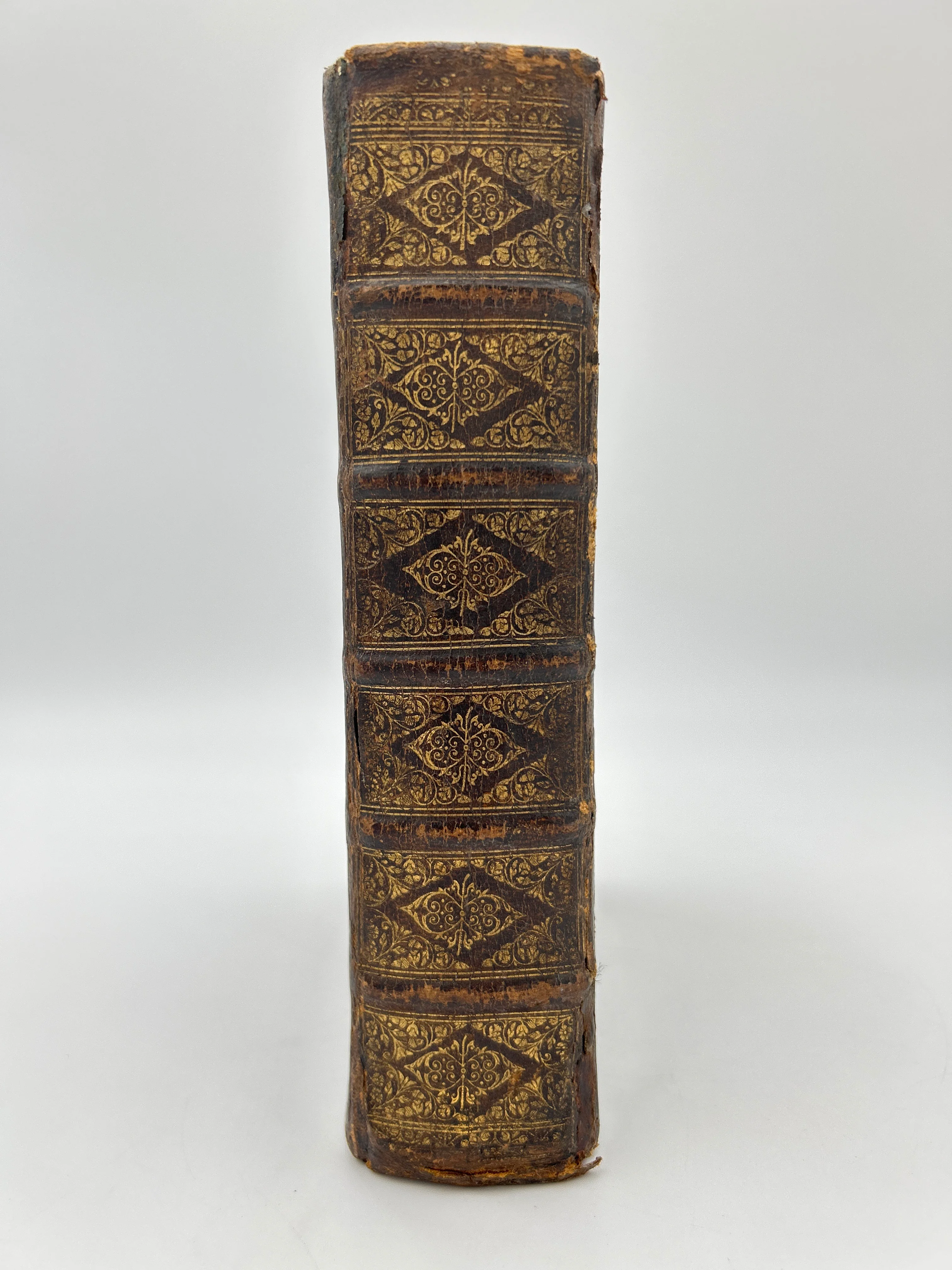 Geneva Bible 1599 - Image 10