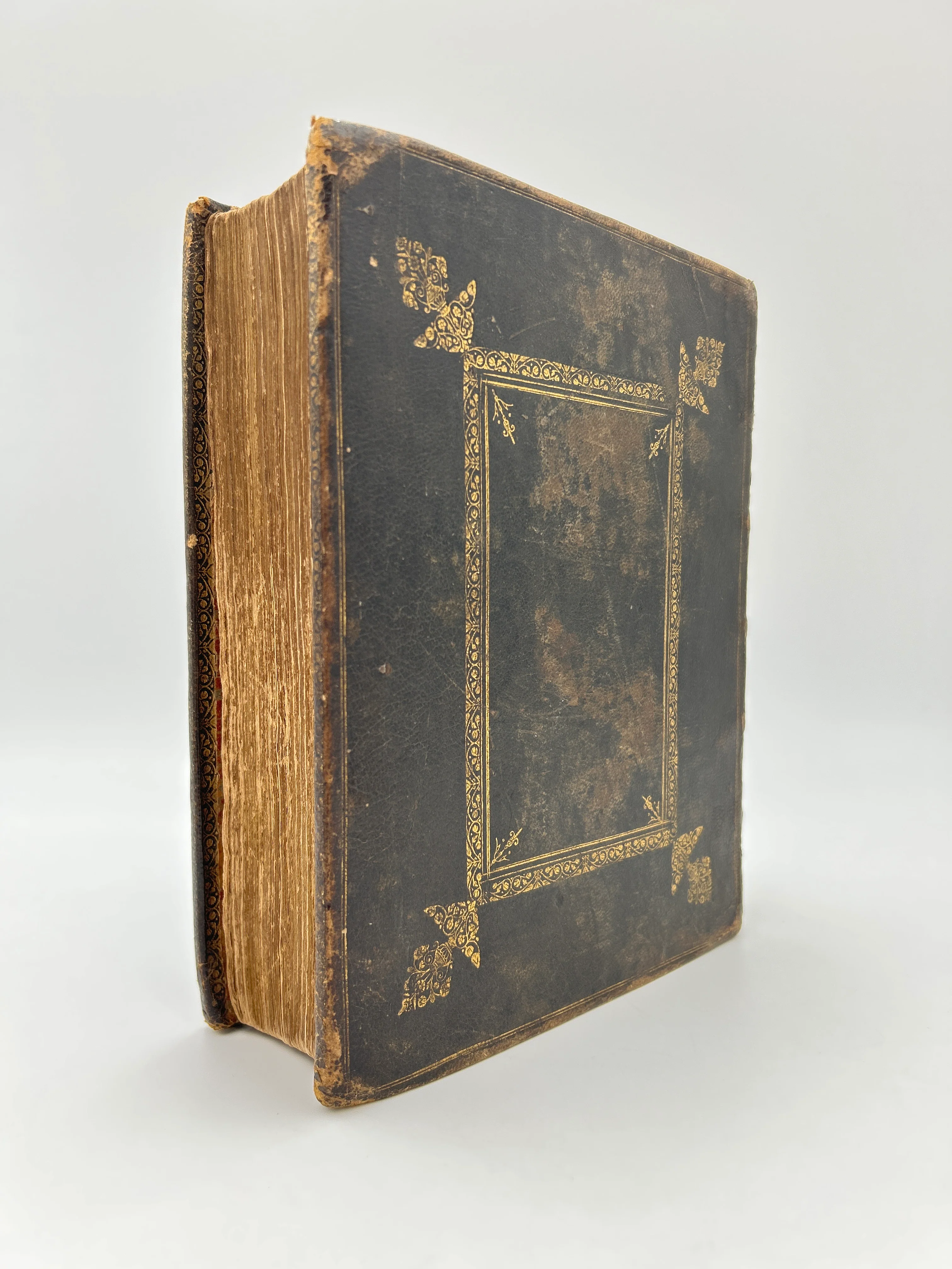 Geneva Bible 1599 - Image 11