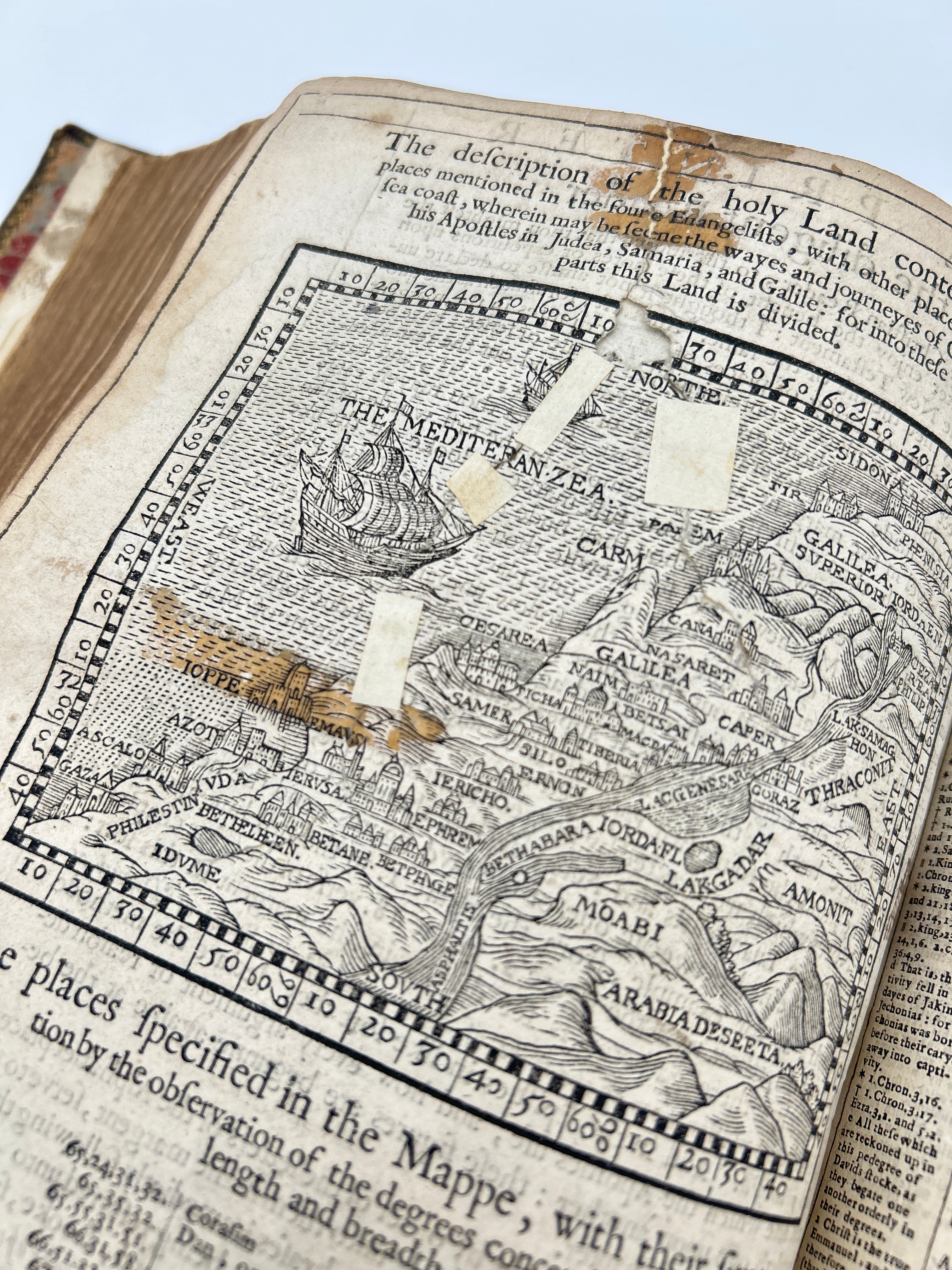 Geneva Bible 1599 - Image 5