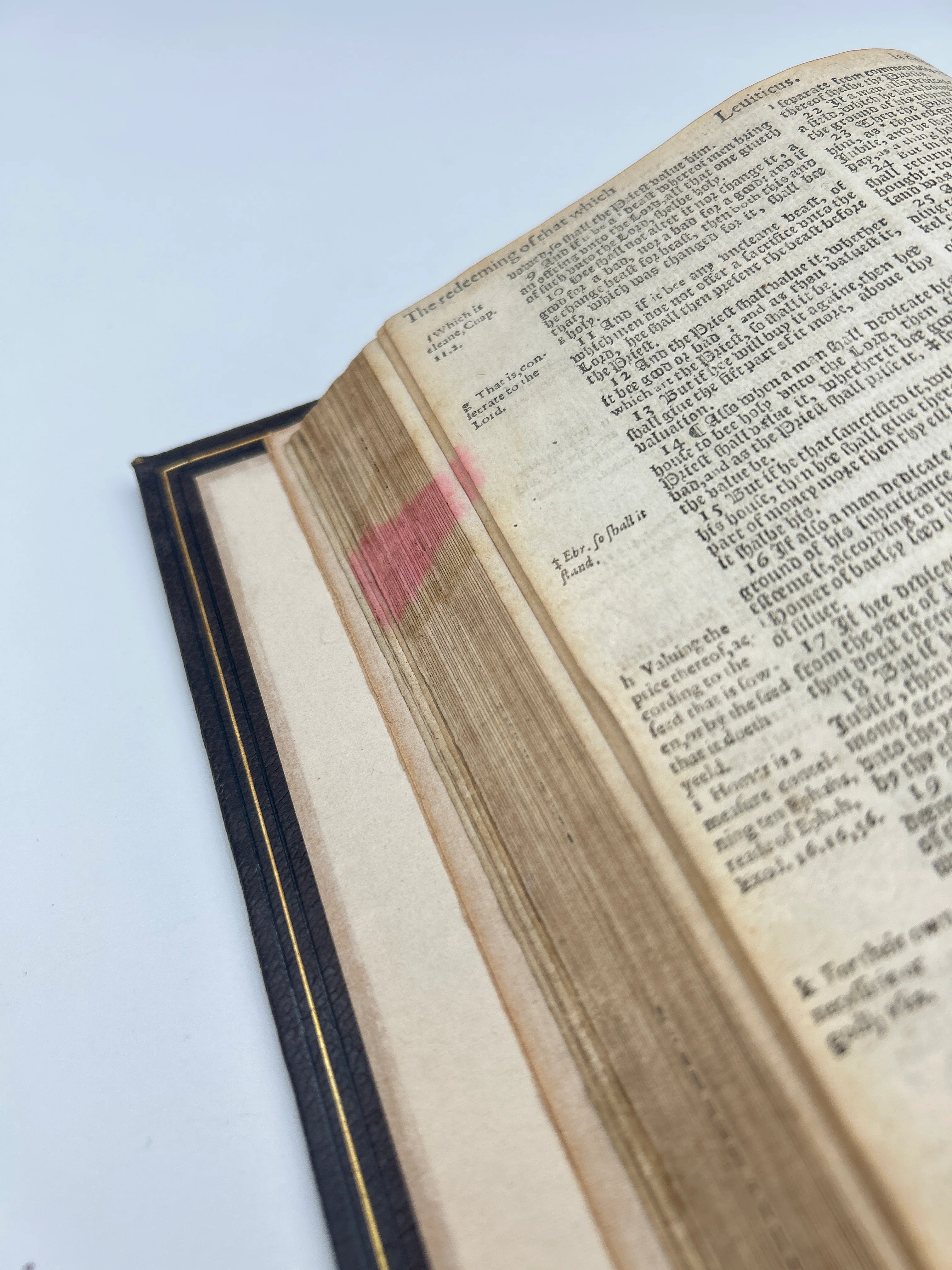 Geneva Bible Quarto 1599 - Image 5