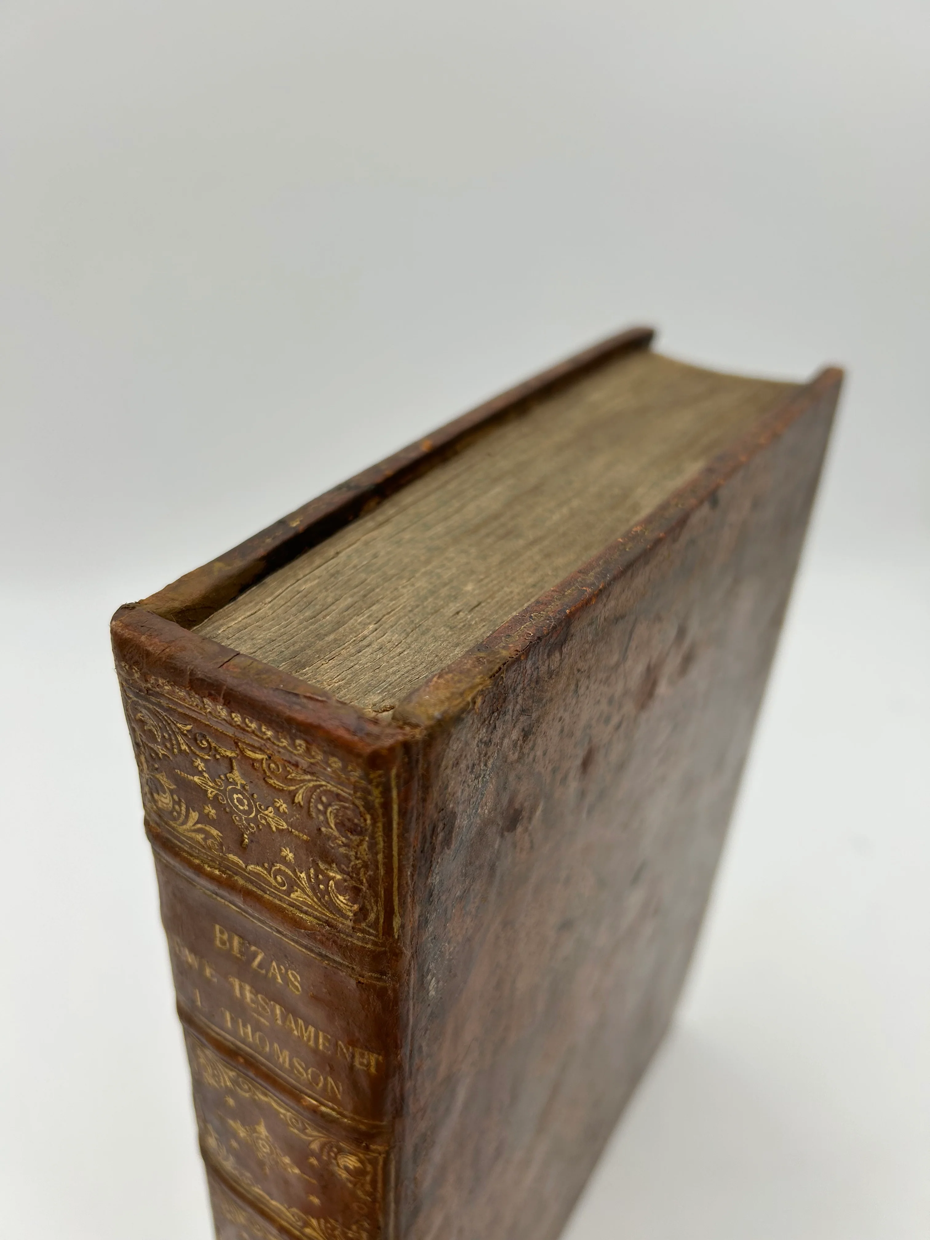 Geneva Bible 1583 - Image 3