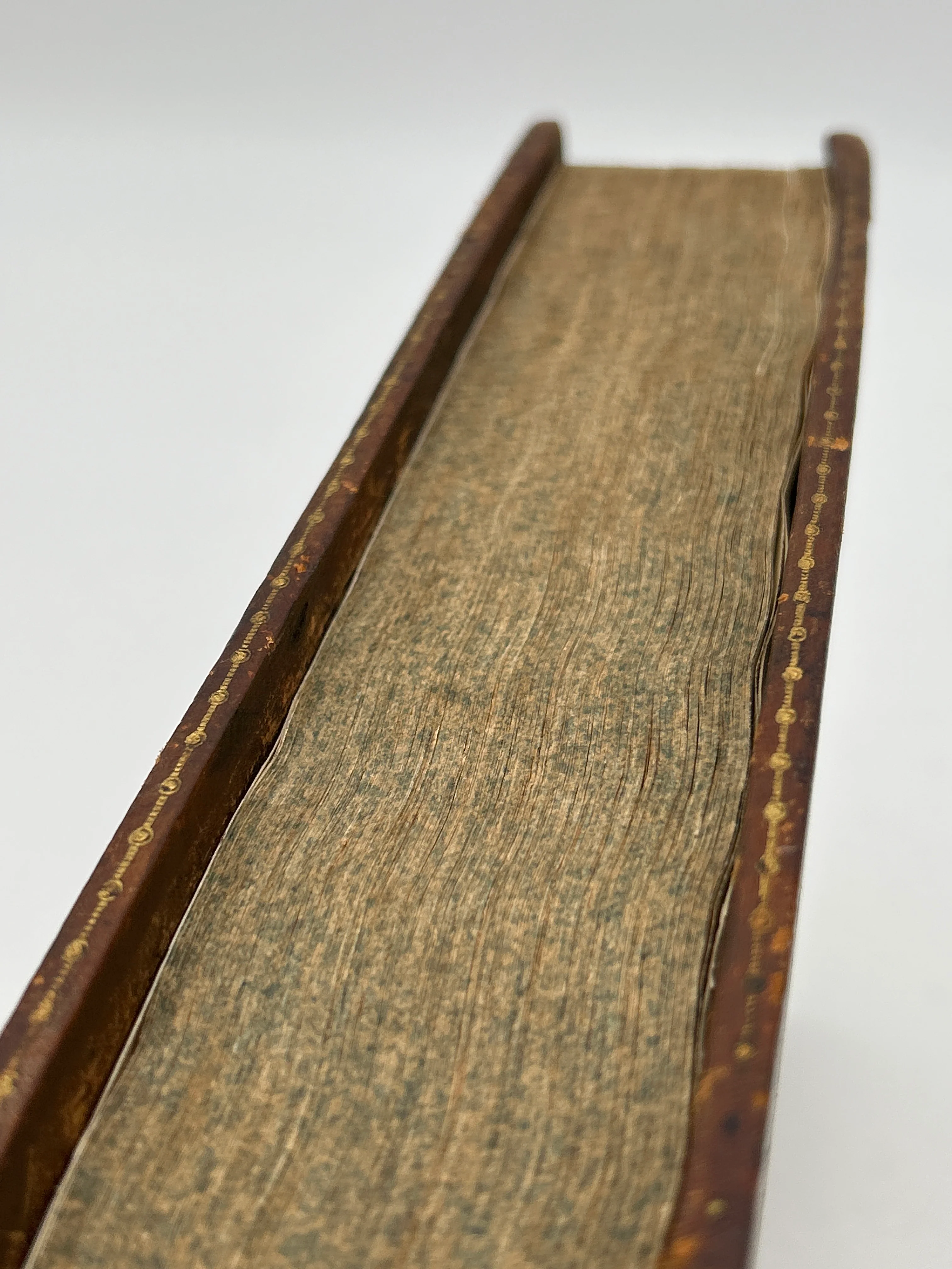 Geneva Bible 1583 - Image 4