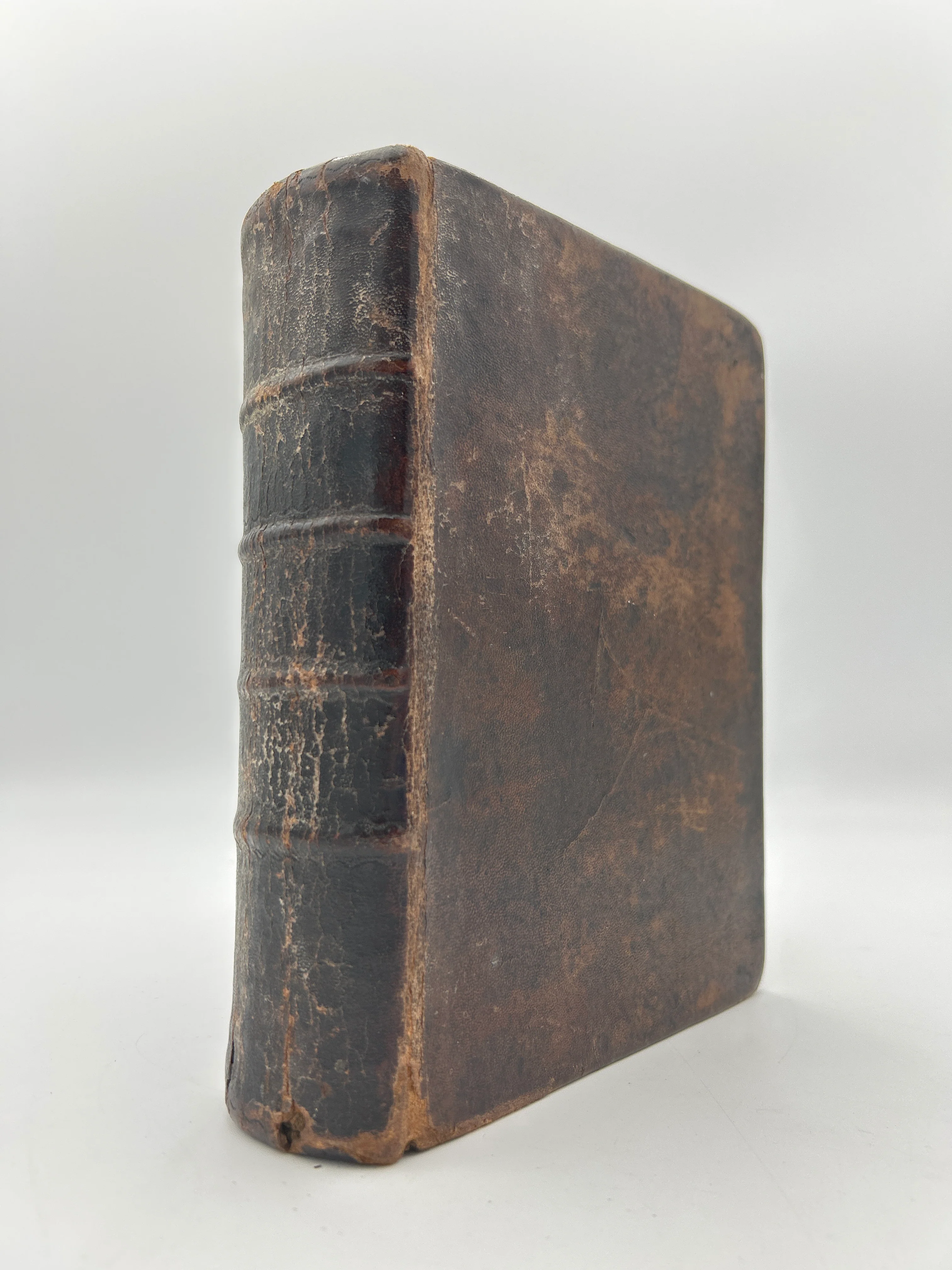 Geneva Bible 1598