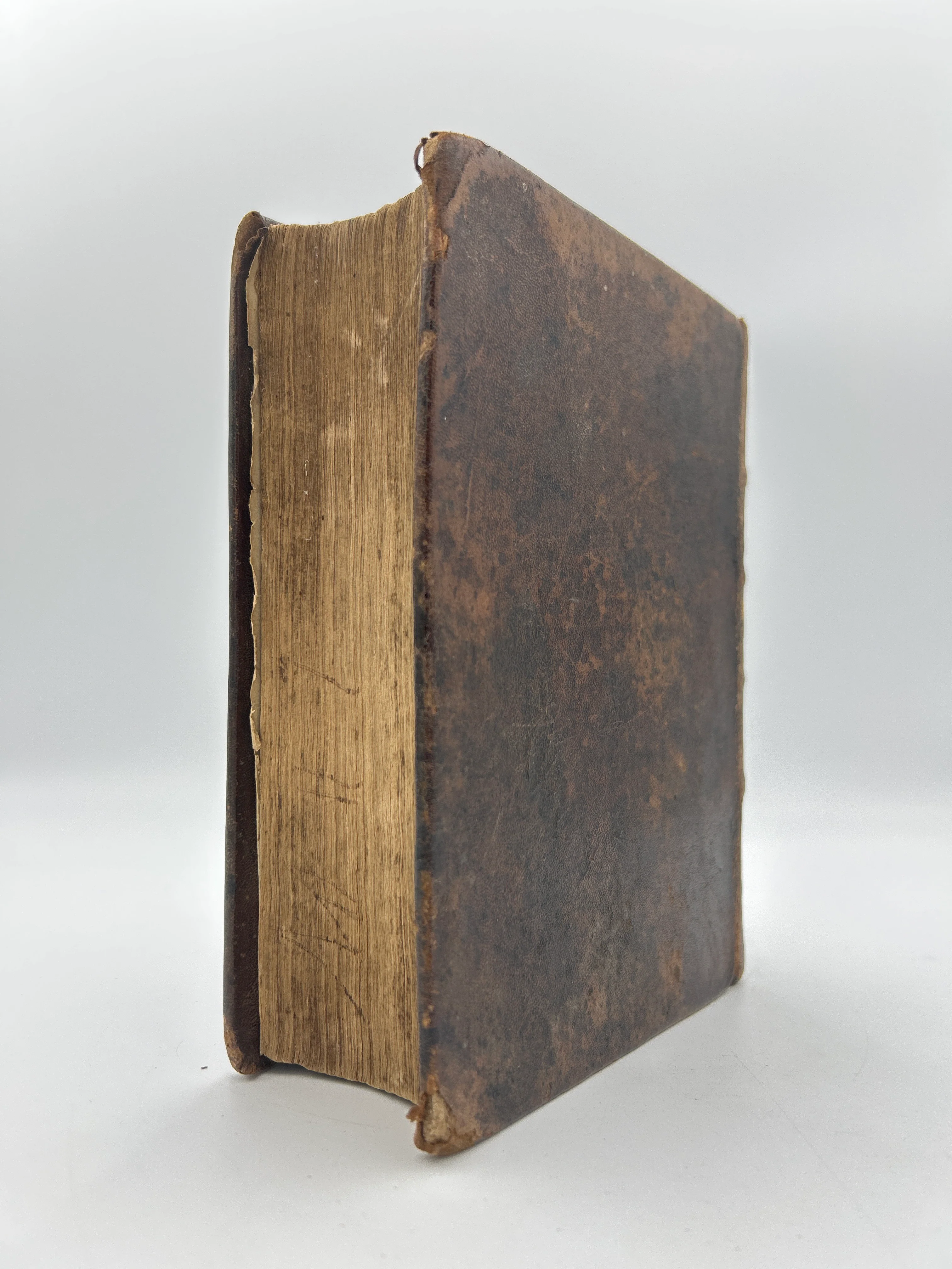 Geneva Bible 1598 - Image 8