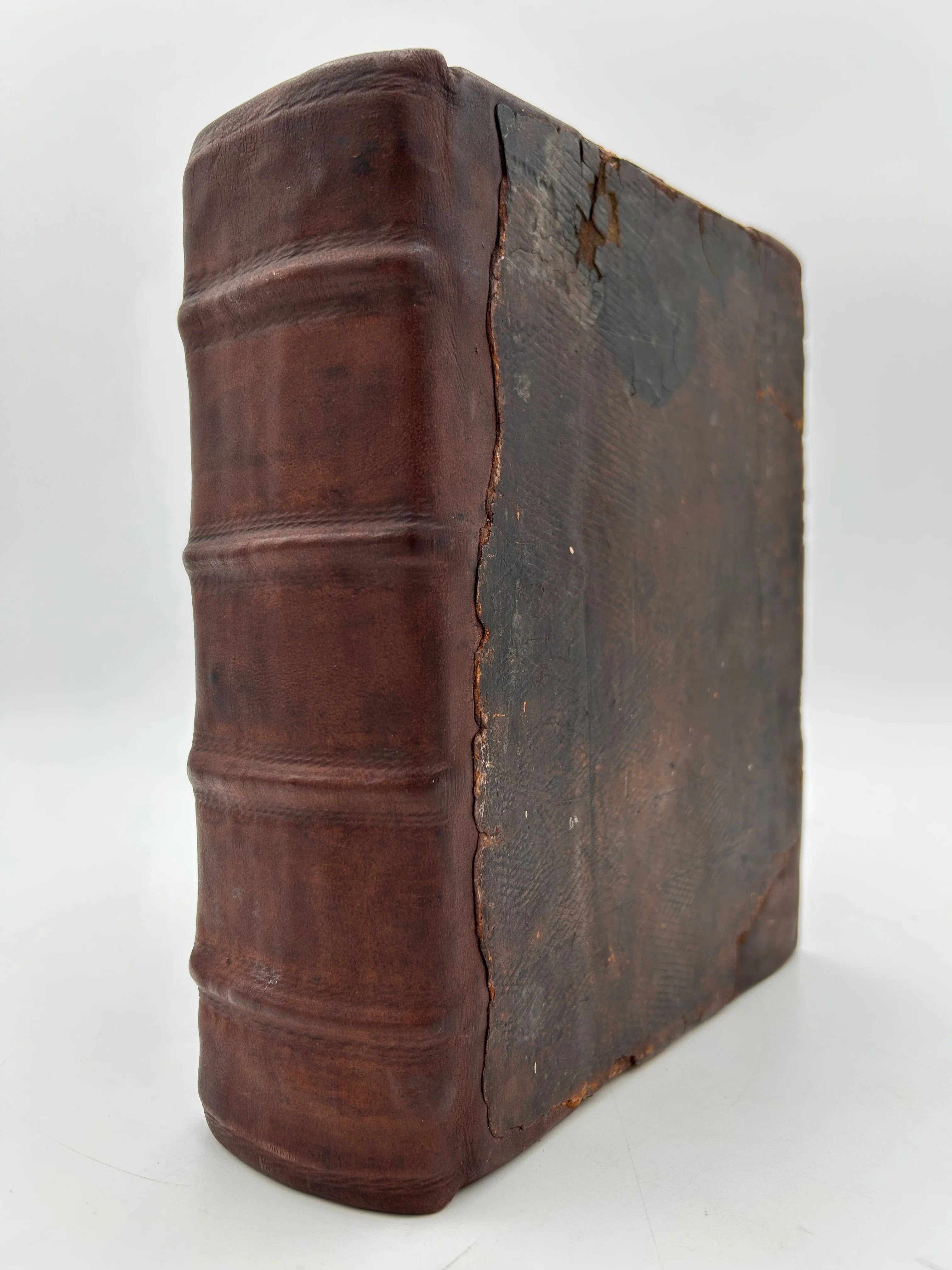 Geneva Bible 1599