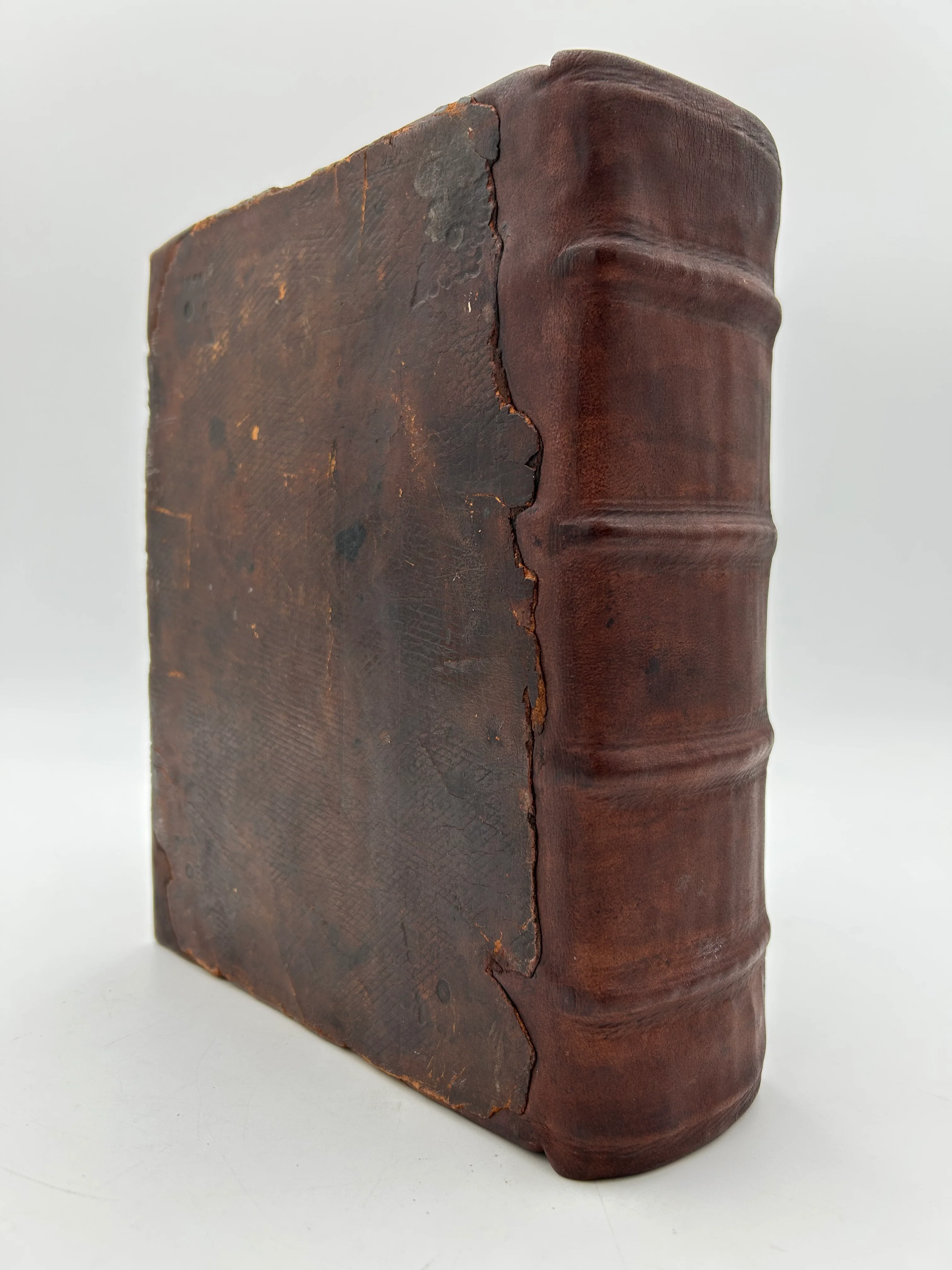 Geneva Bible 1599 - Image 2