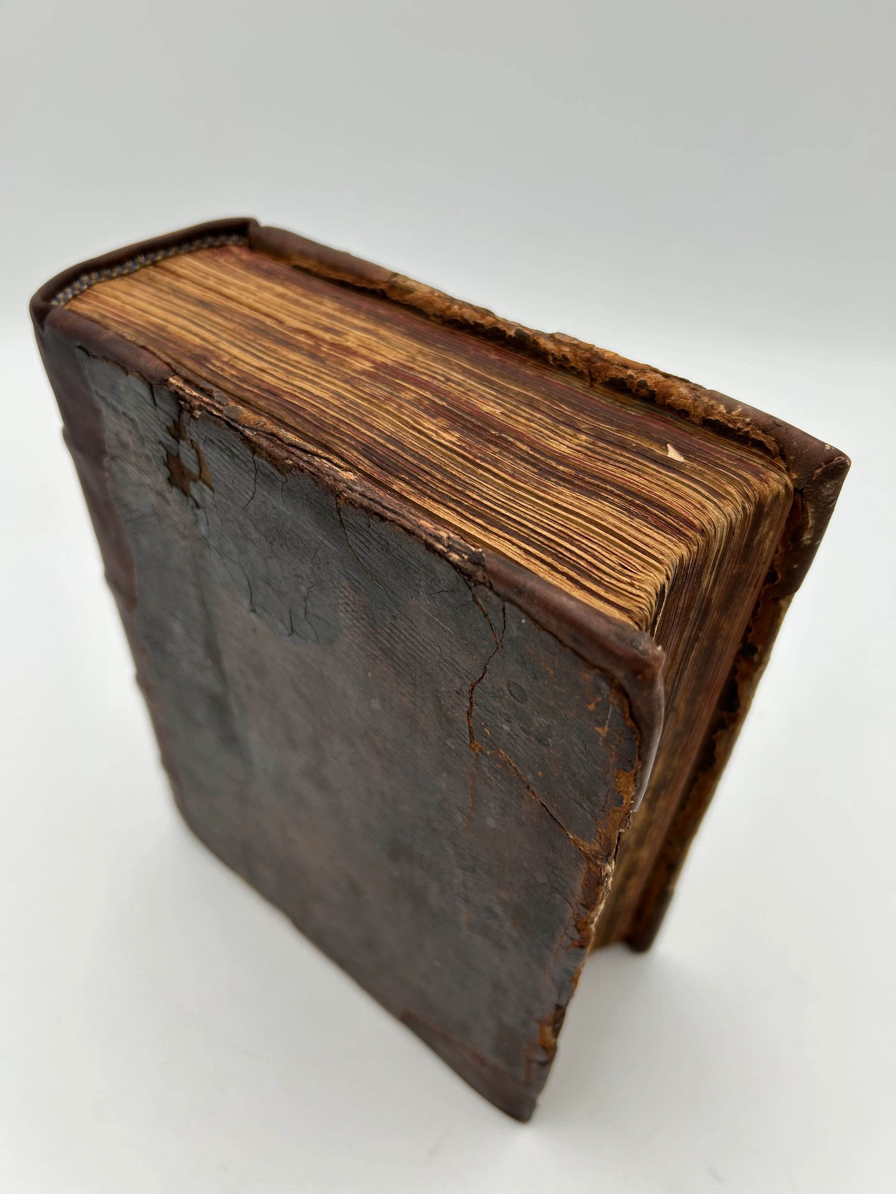 Geneva Bible 1599 - Image 3