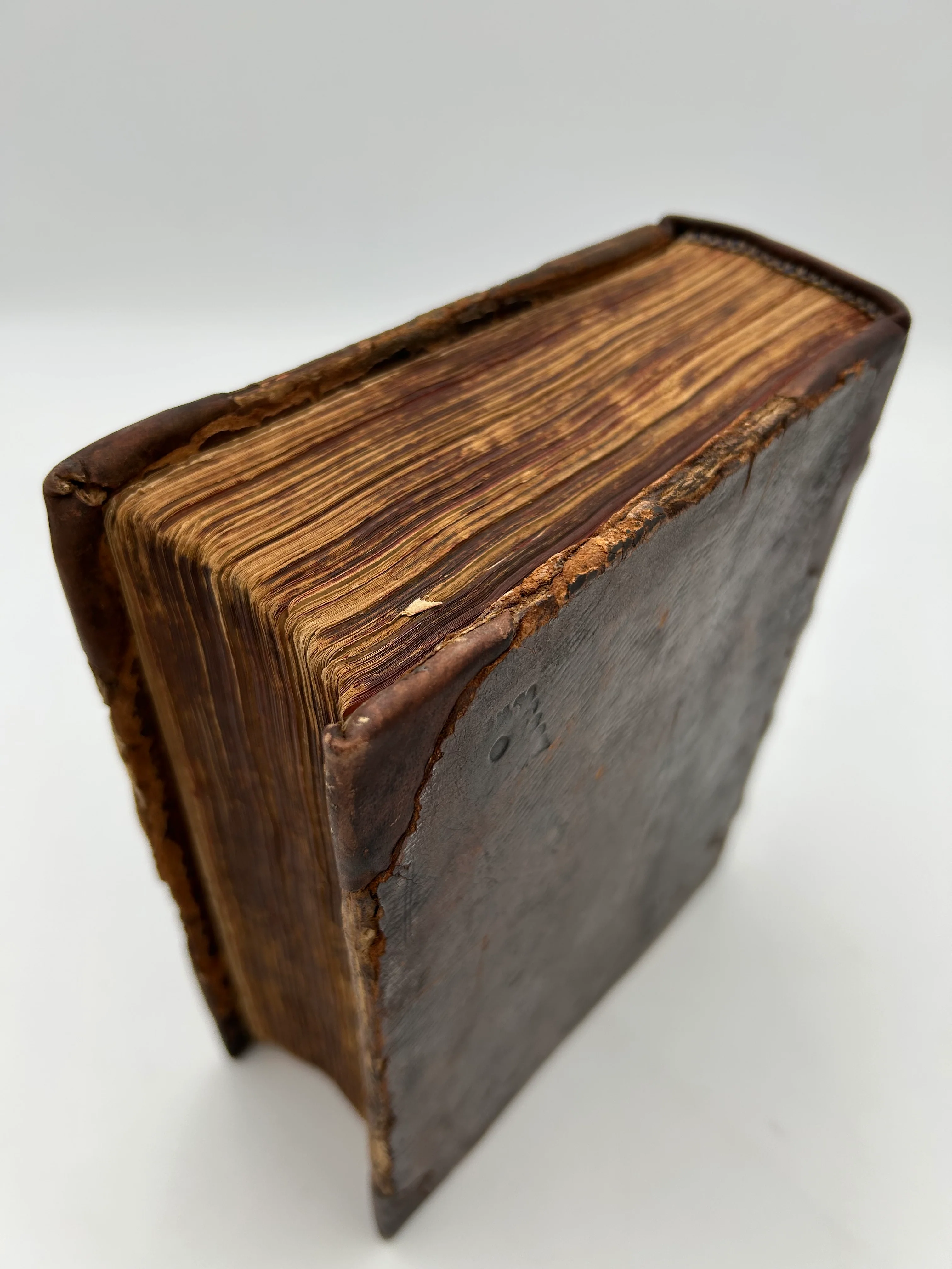 Geneva Bible 1599 - Image 4