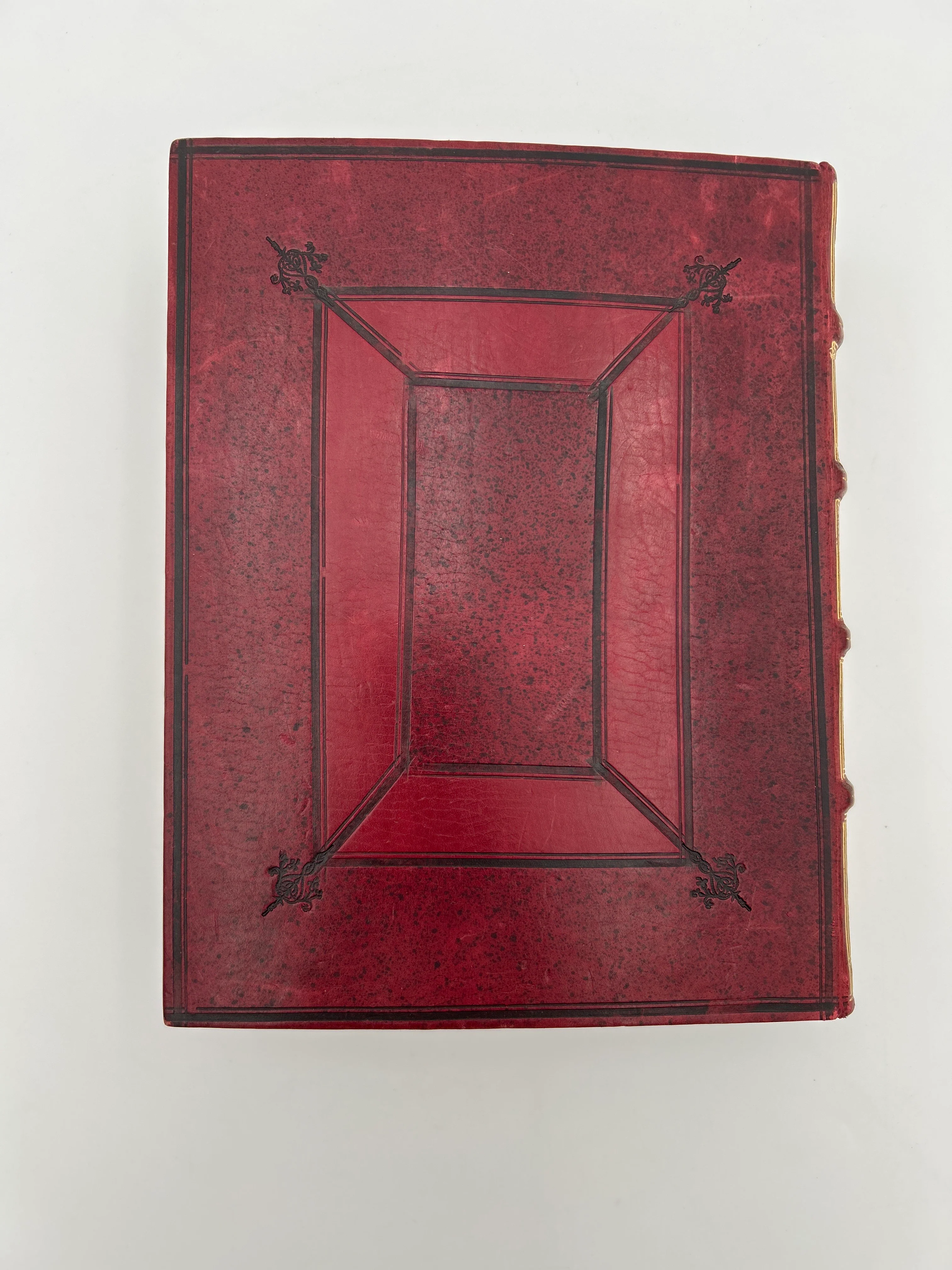 Geneva Bible 1599 - Image 7