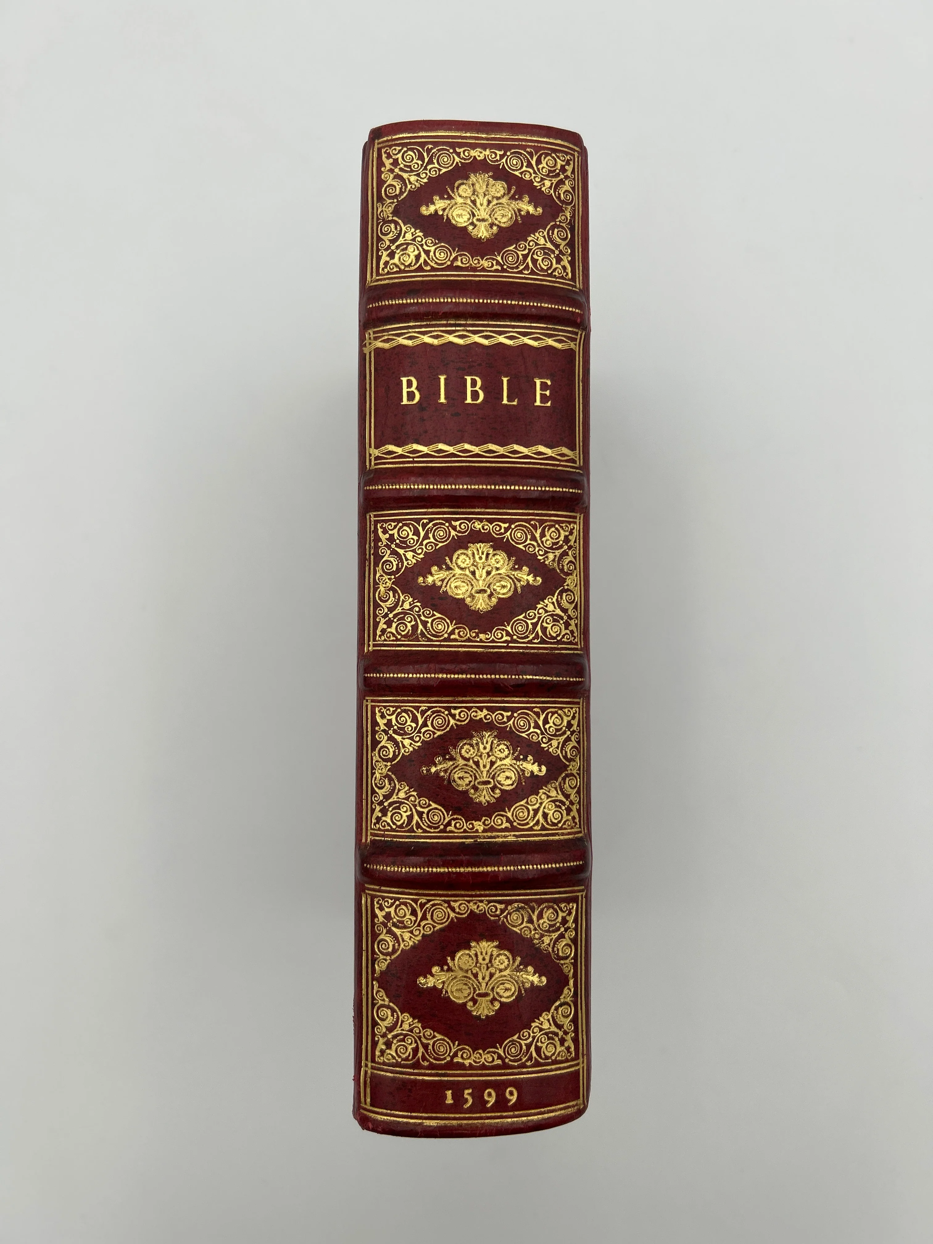 Geneva Bible 1599 - Image 8