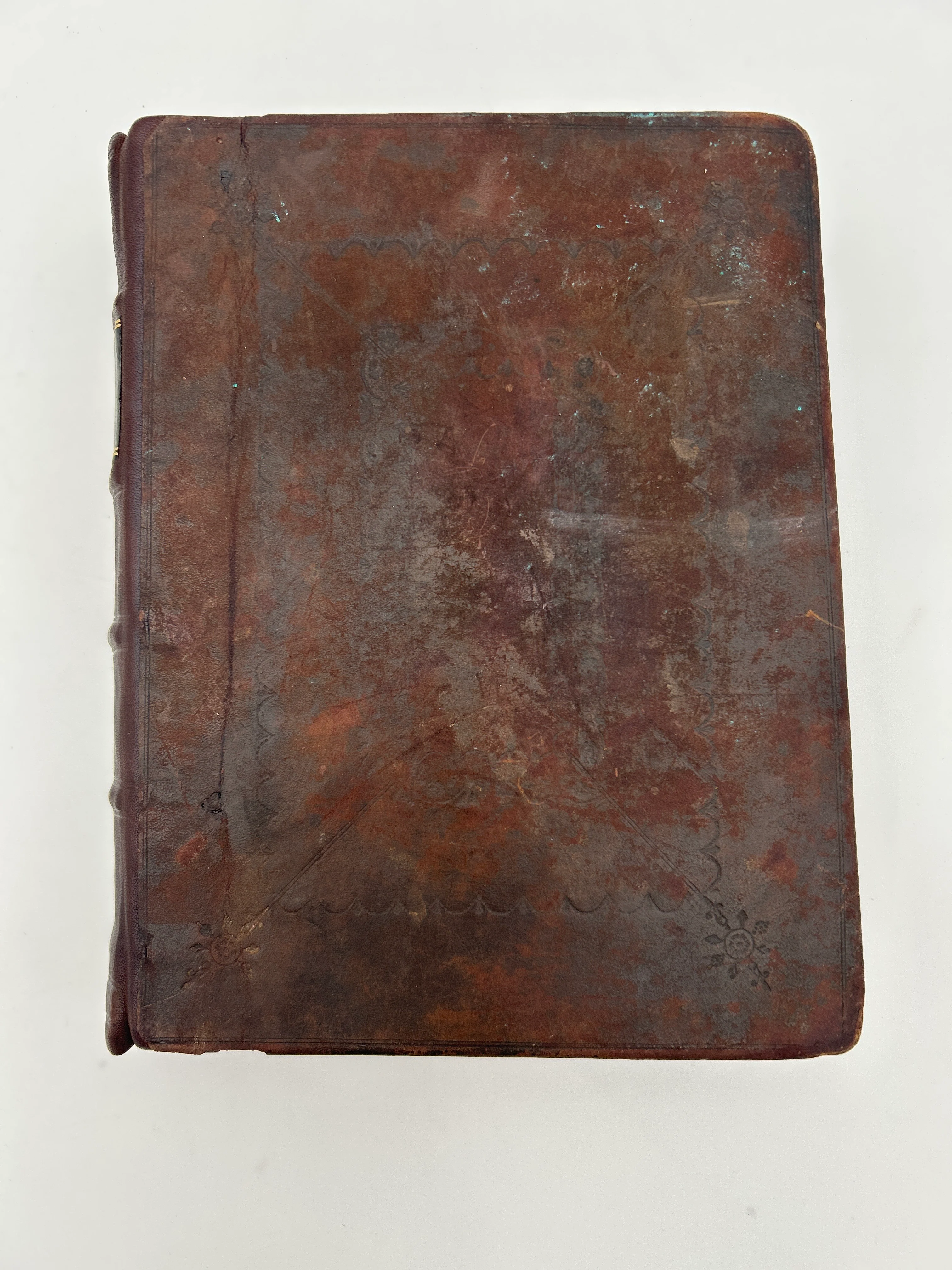 Geneva Bible 1599 - Image 10