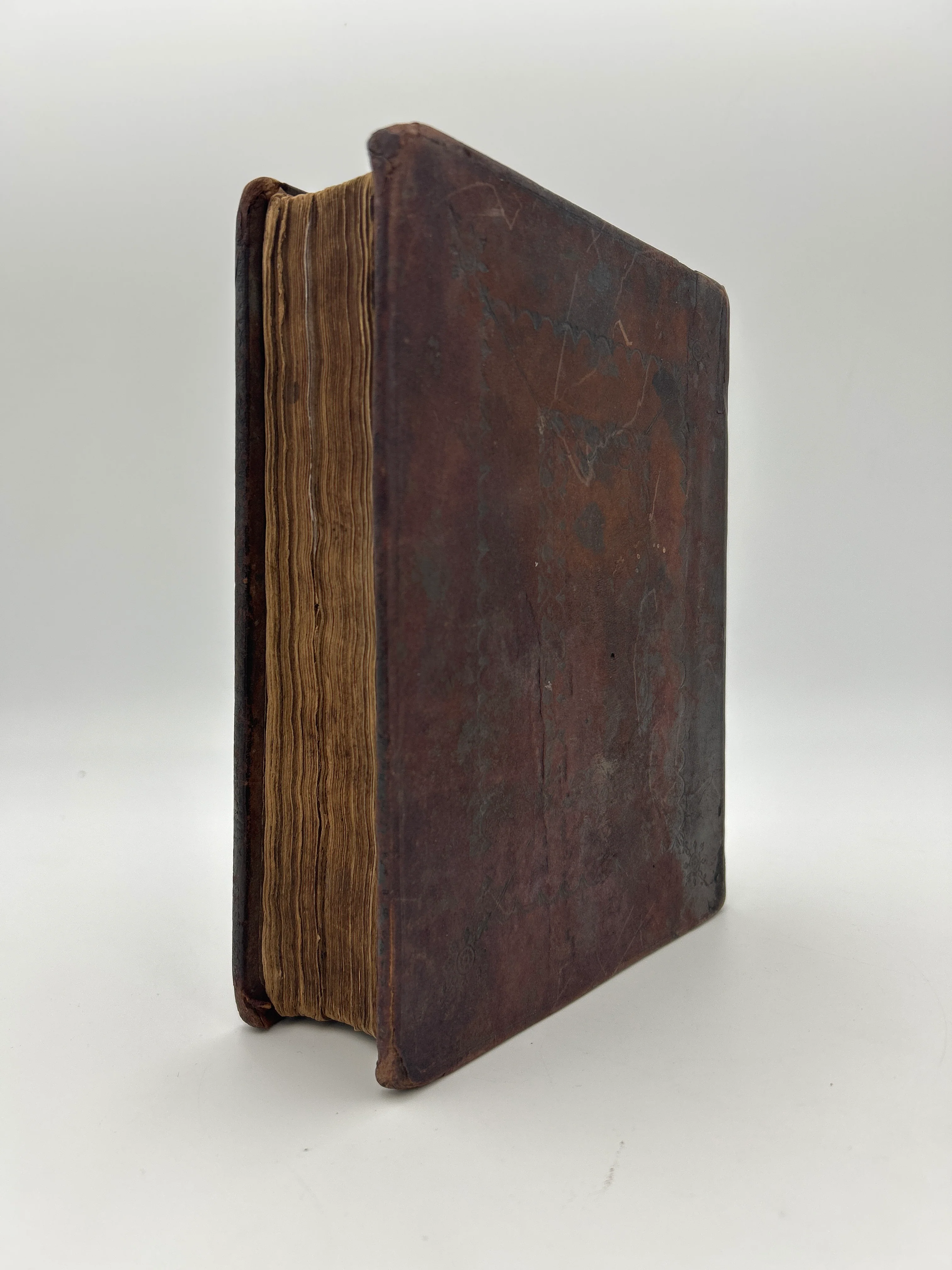 Geneva Bible 1599 - Image 2