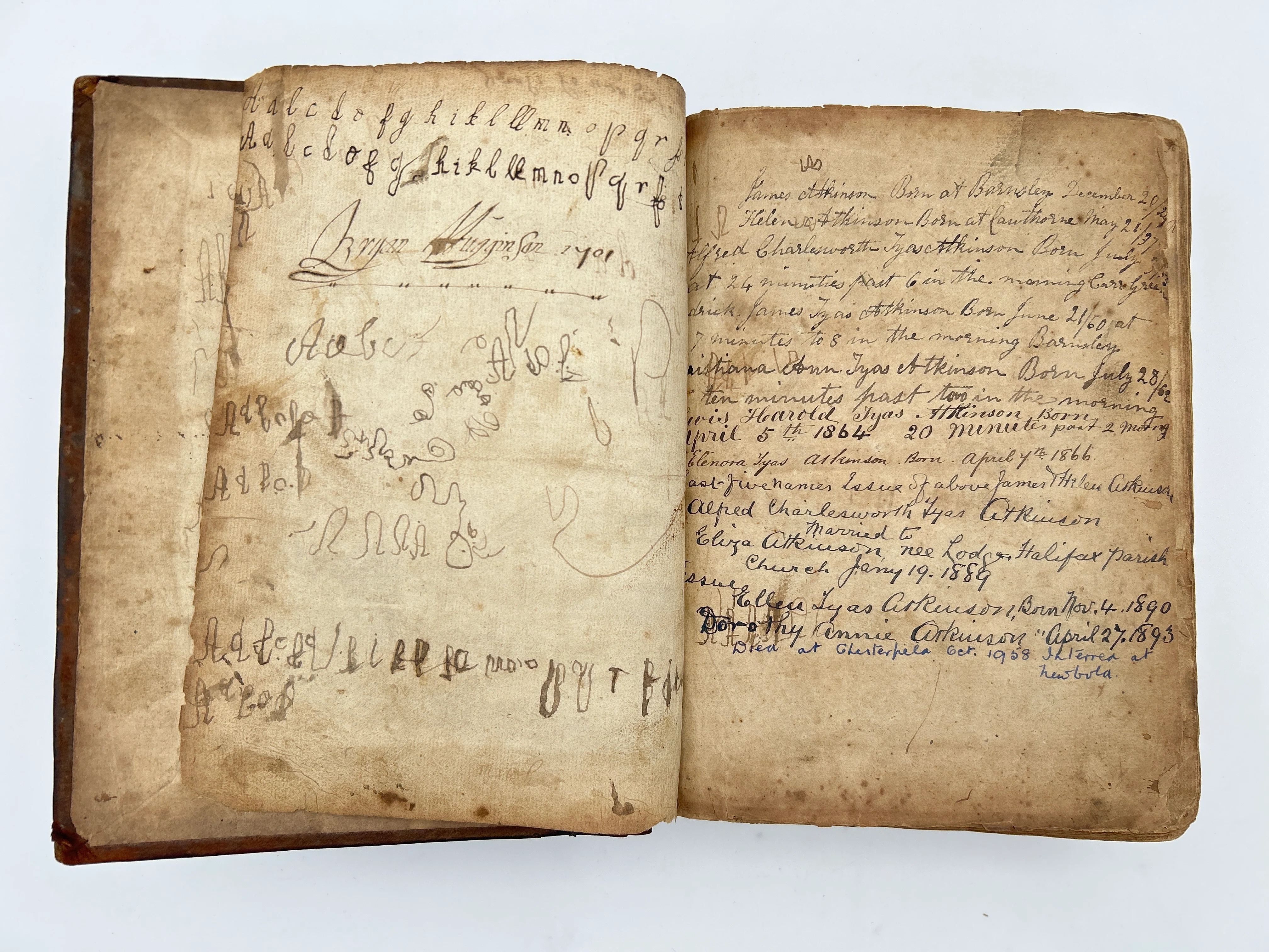 Geneva Bible 1599 - Image 5