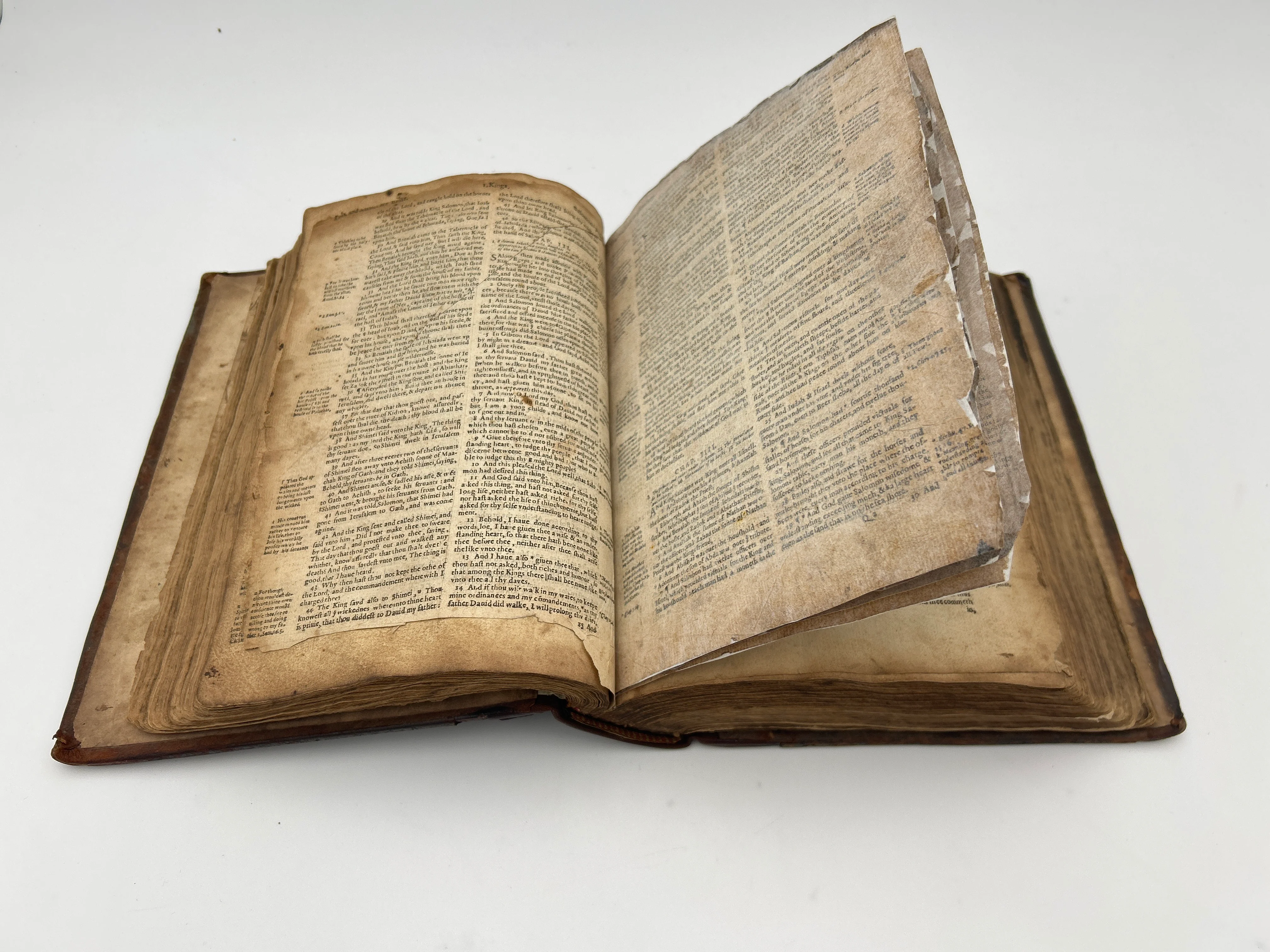 Geneva Bible 1599 - Image 6