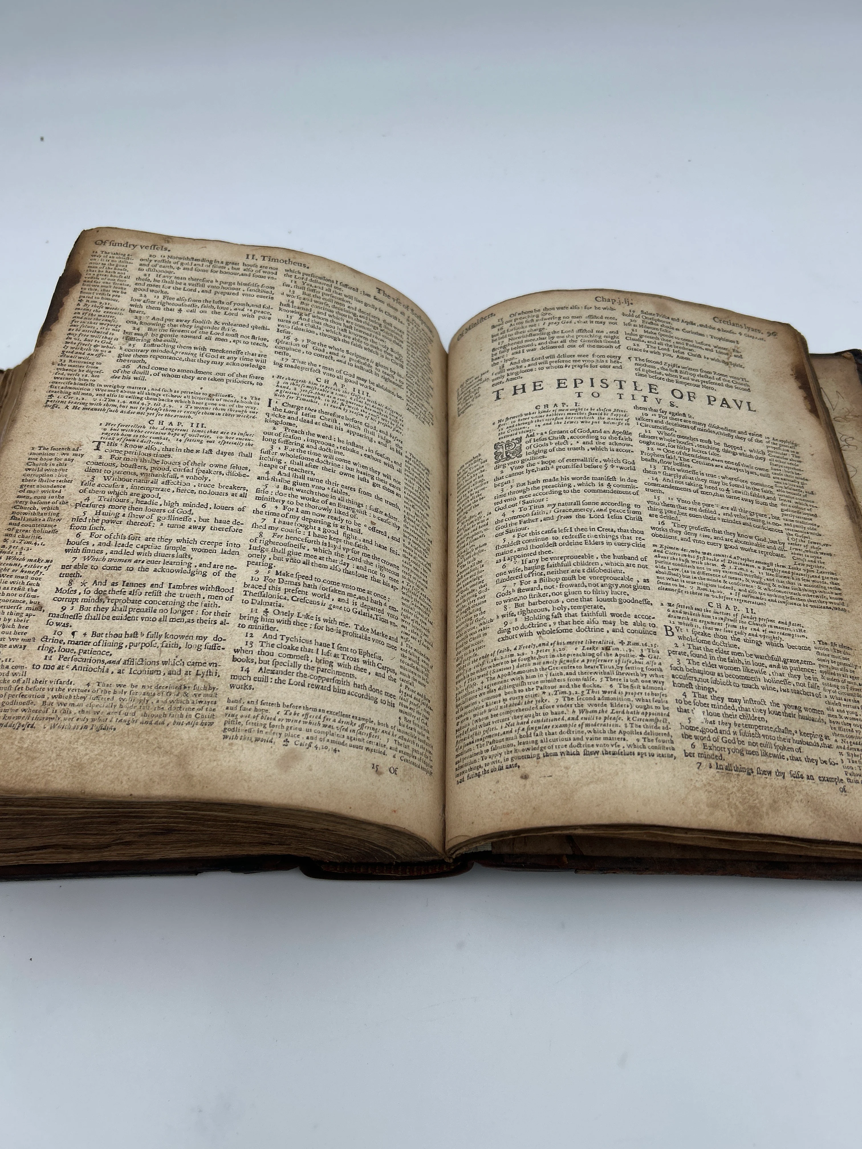 Geneva Bible 1599 - Image 9