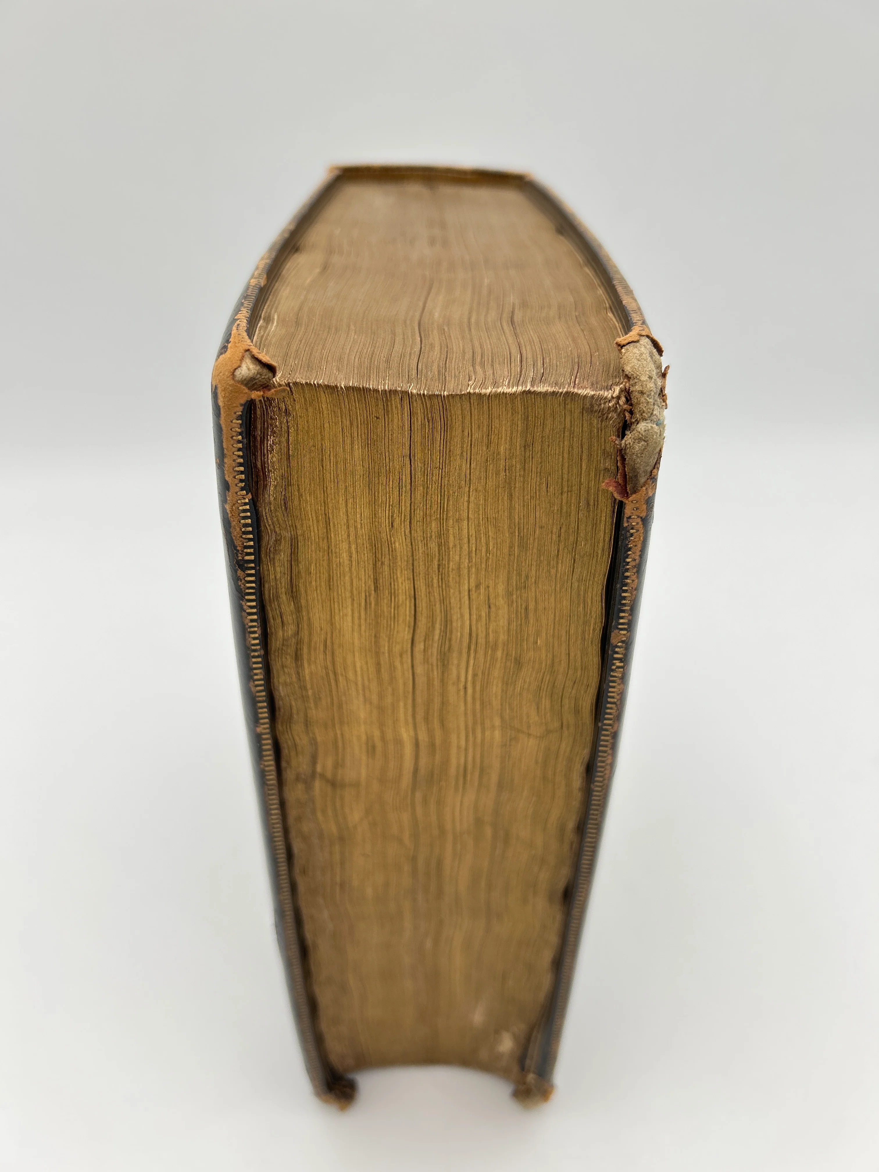 Geneva Bible 1607 - Image 9