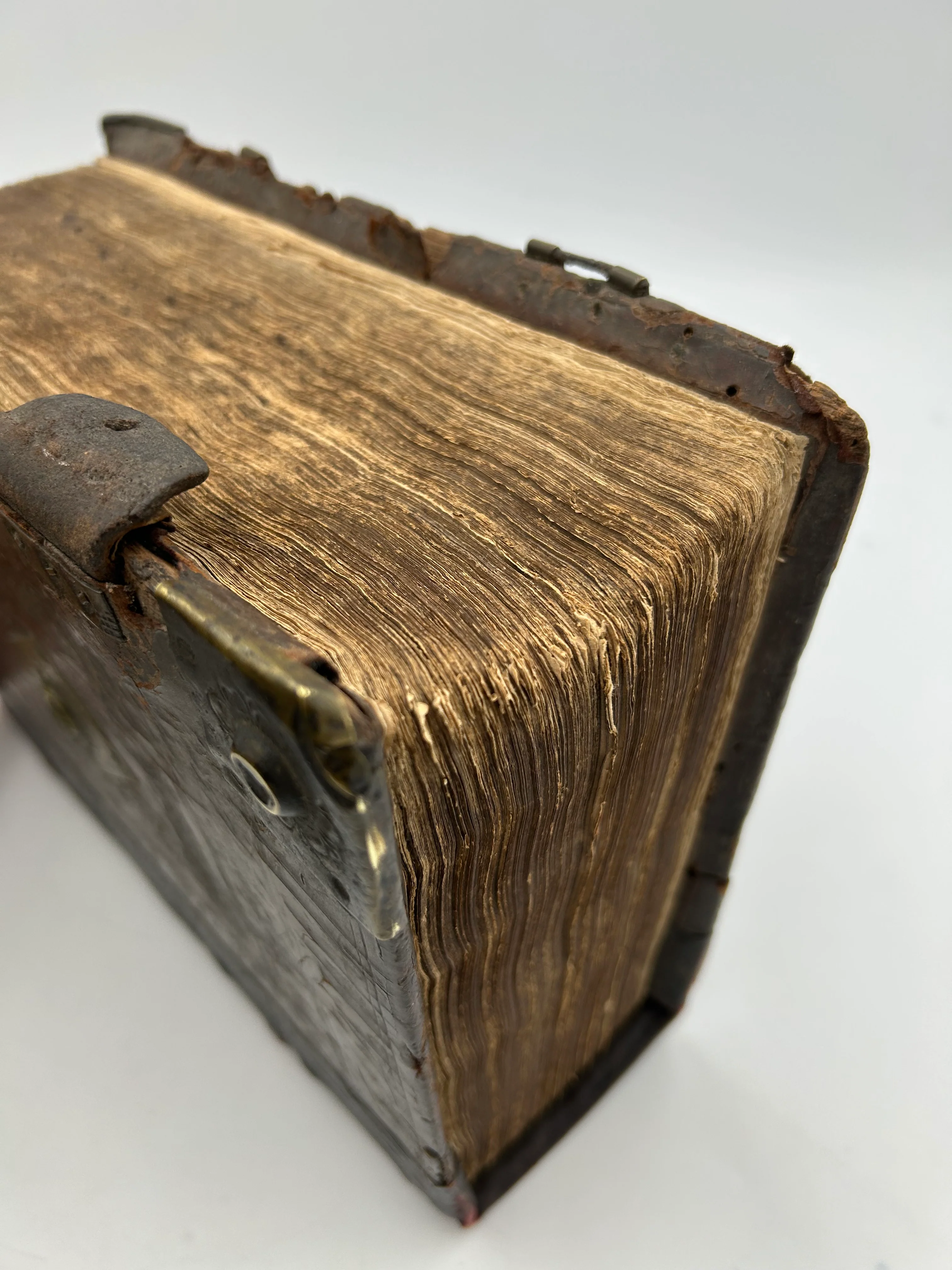 Geneva Bible 1615 - Image 4