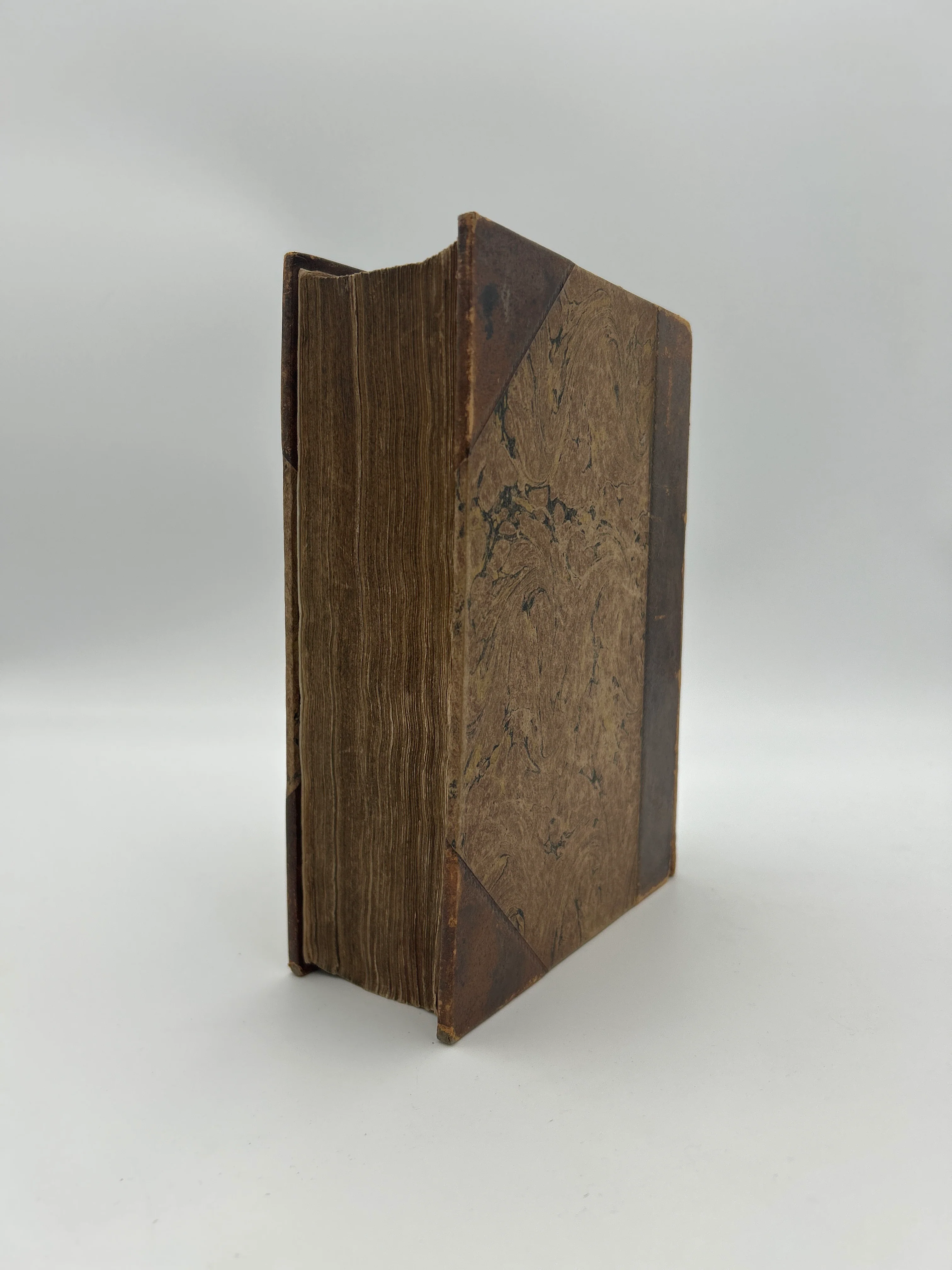 Geneva Bible - Image 2