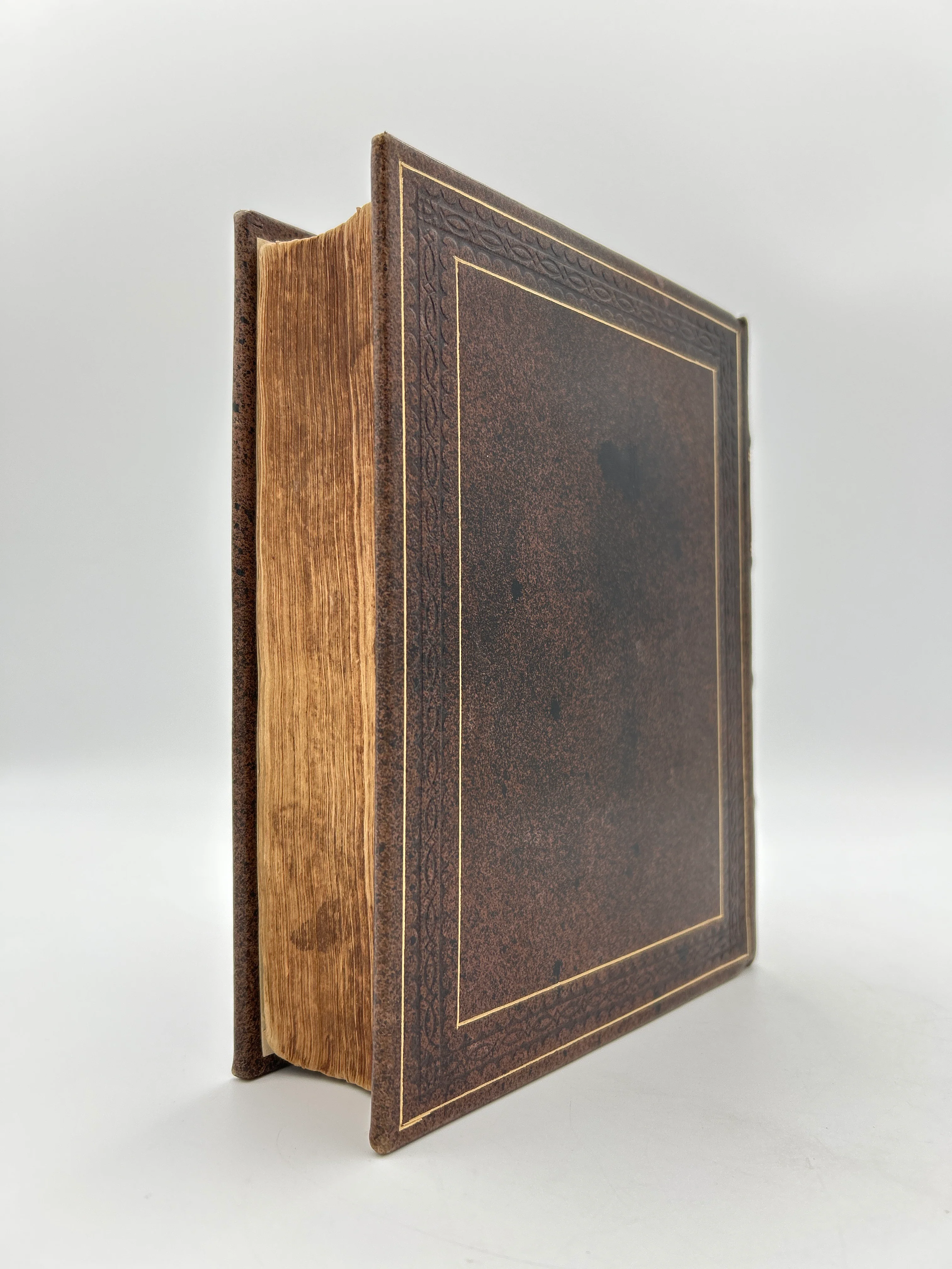 Geneva Bible 1599 - Image 6