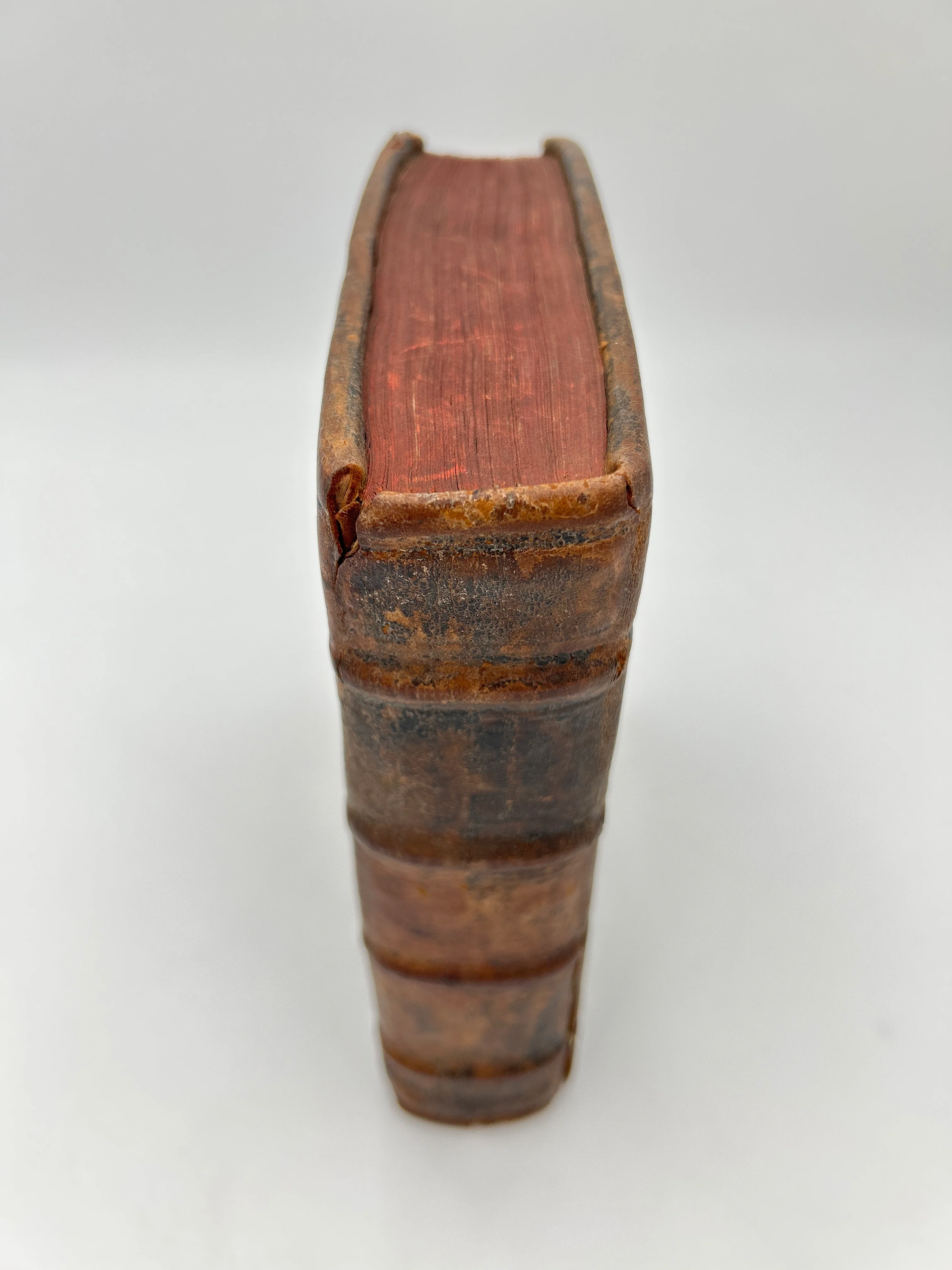 Geneva Bible with Clasps - Image 11