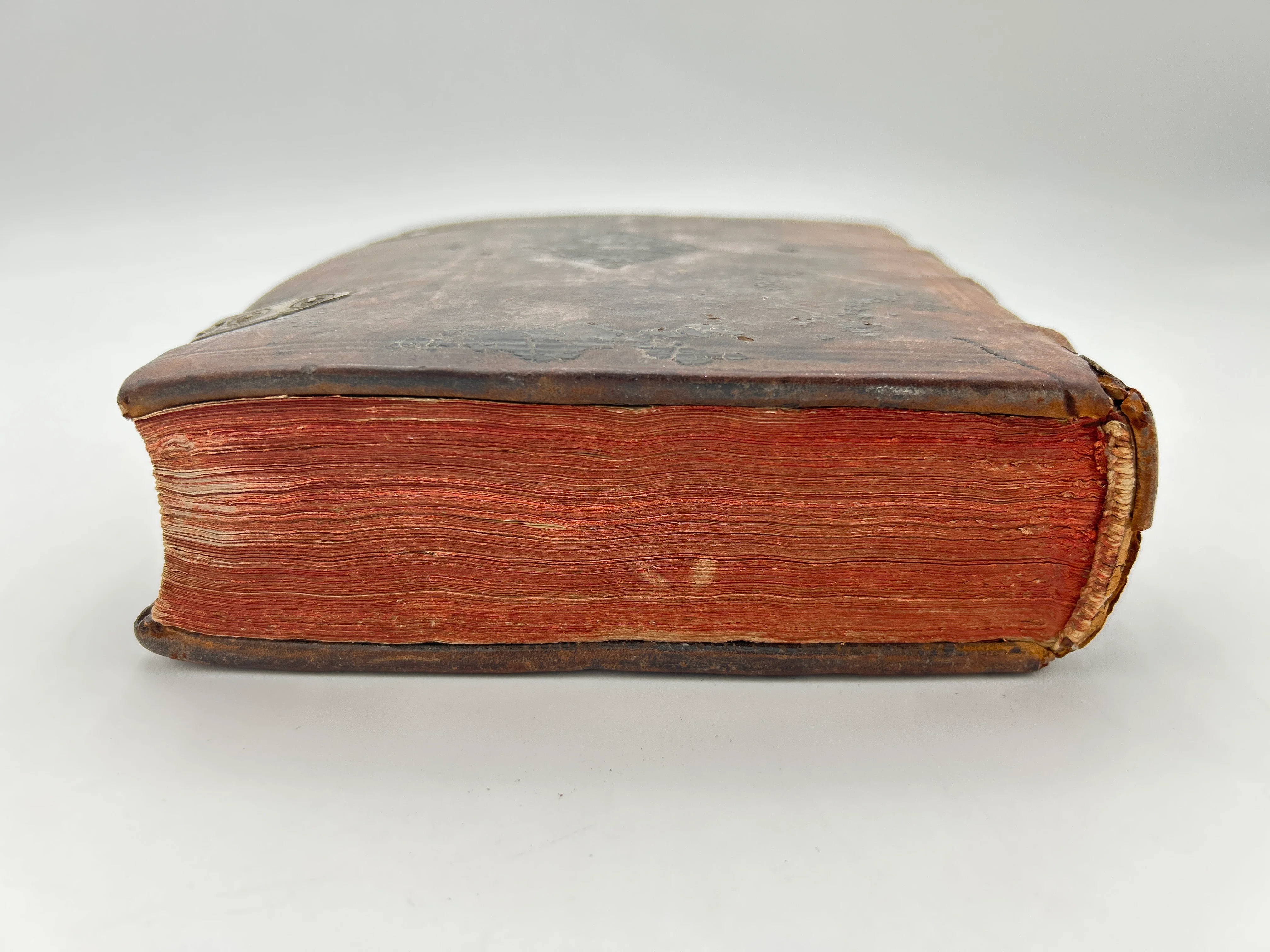 Geneva Bible with Clasps - Image 12