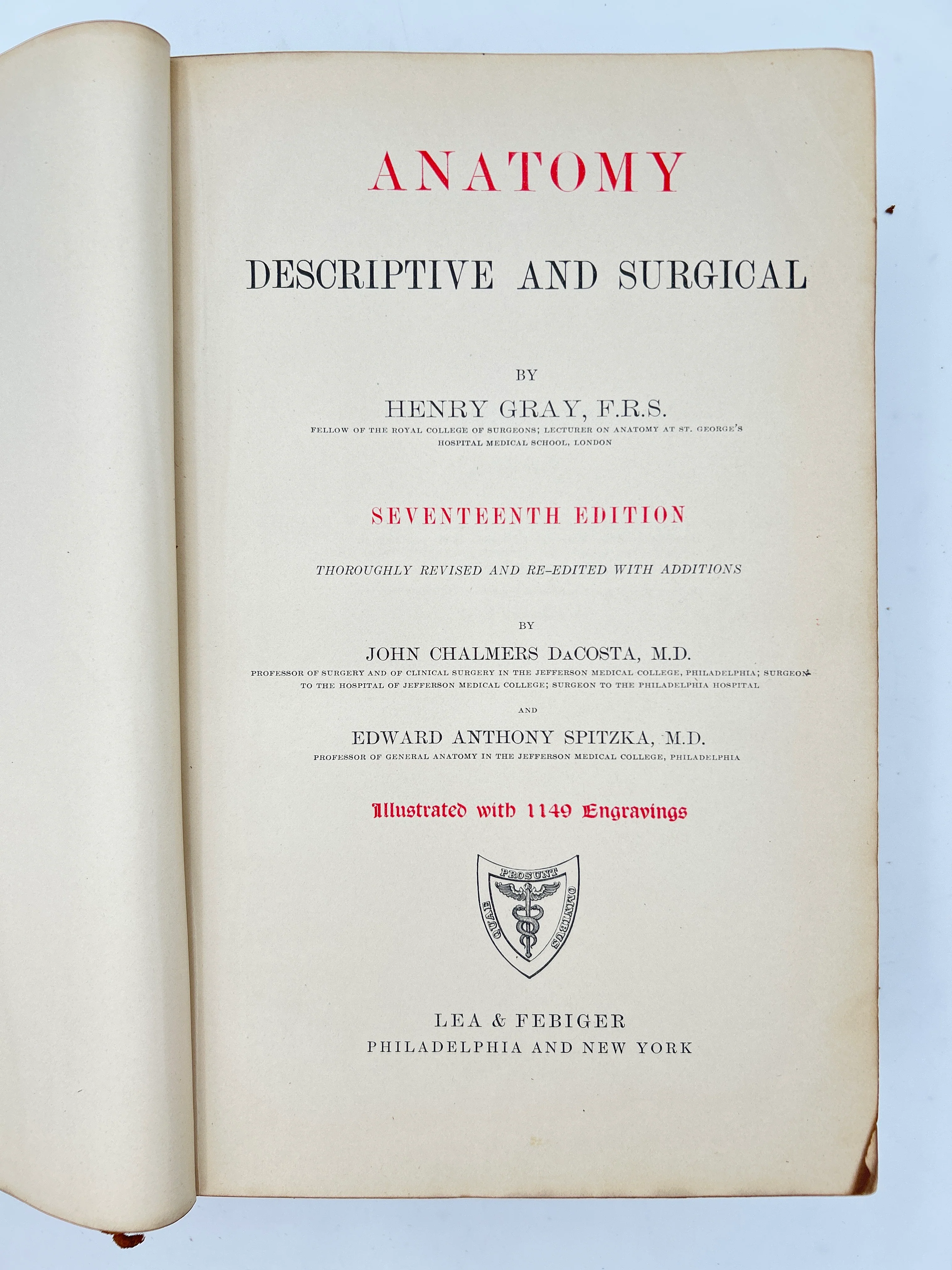 Gray's Anatomy - Image 2