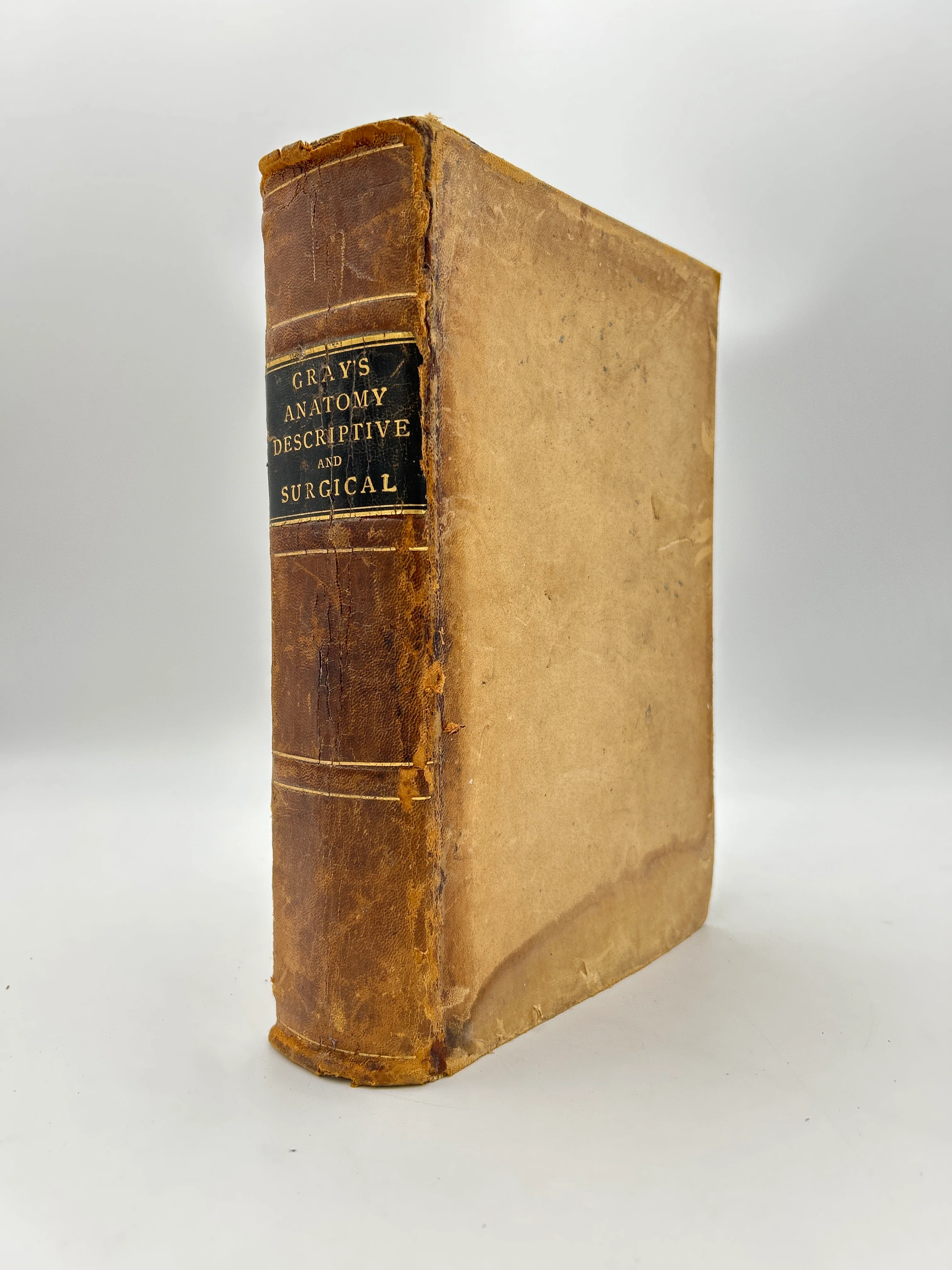 Gray's Anatomy Descriptive and Surgical