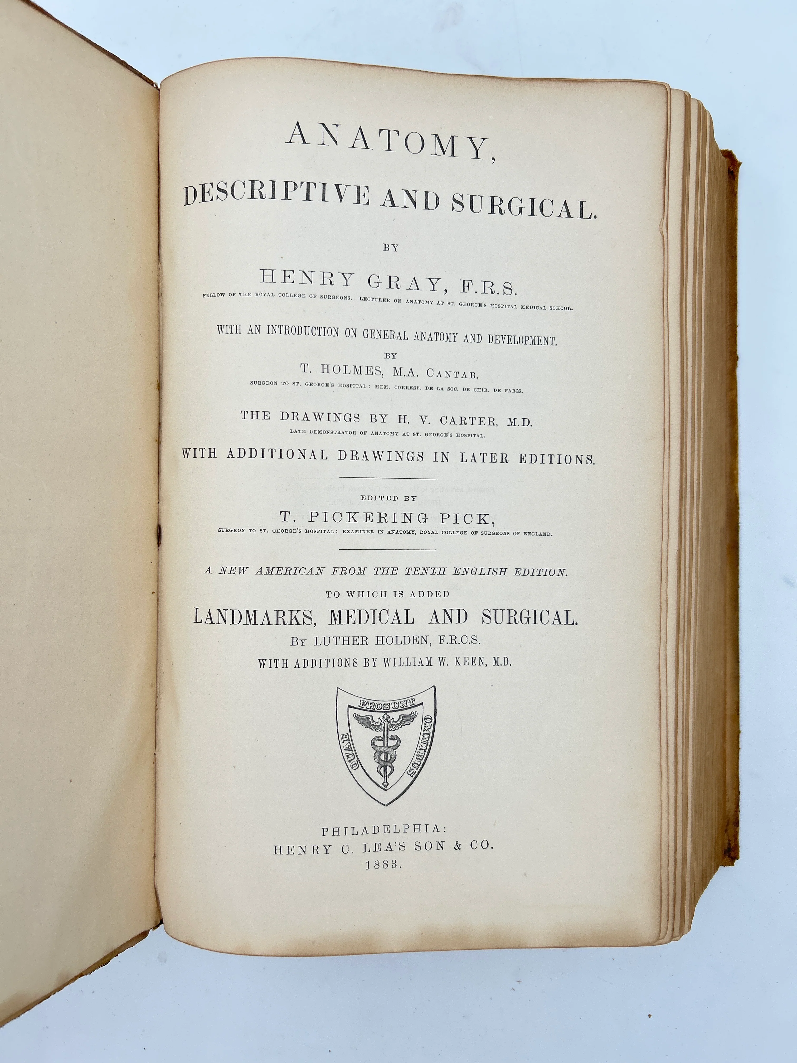 Gray's Anatomy Descriptive and Surgical - Image 2