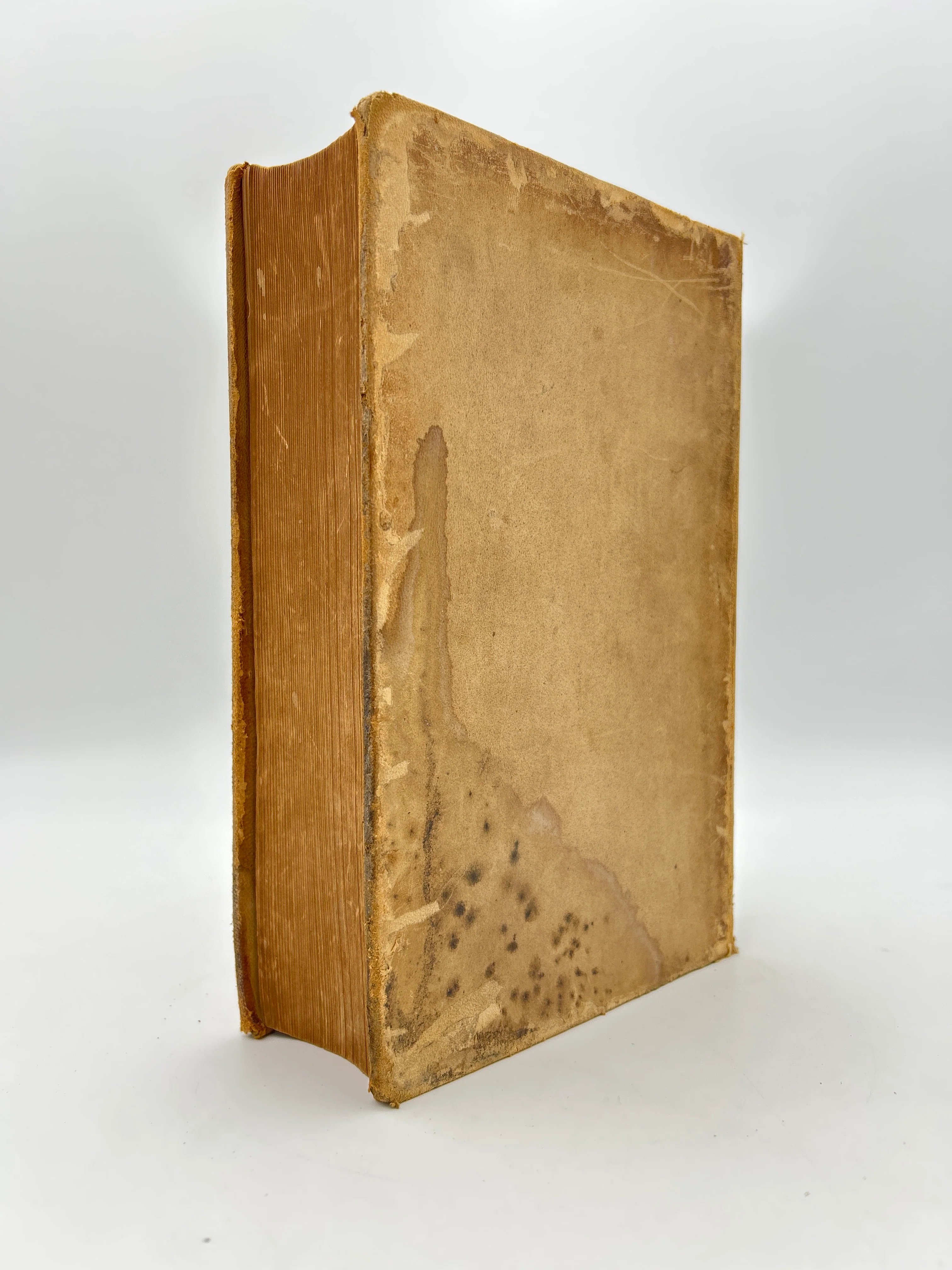 Gray's Anatomy Descriptive and Surgical - Image 5
