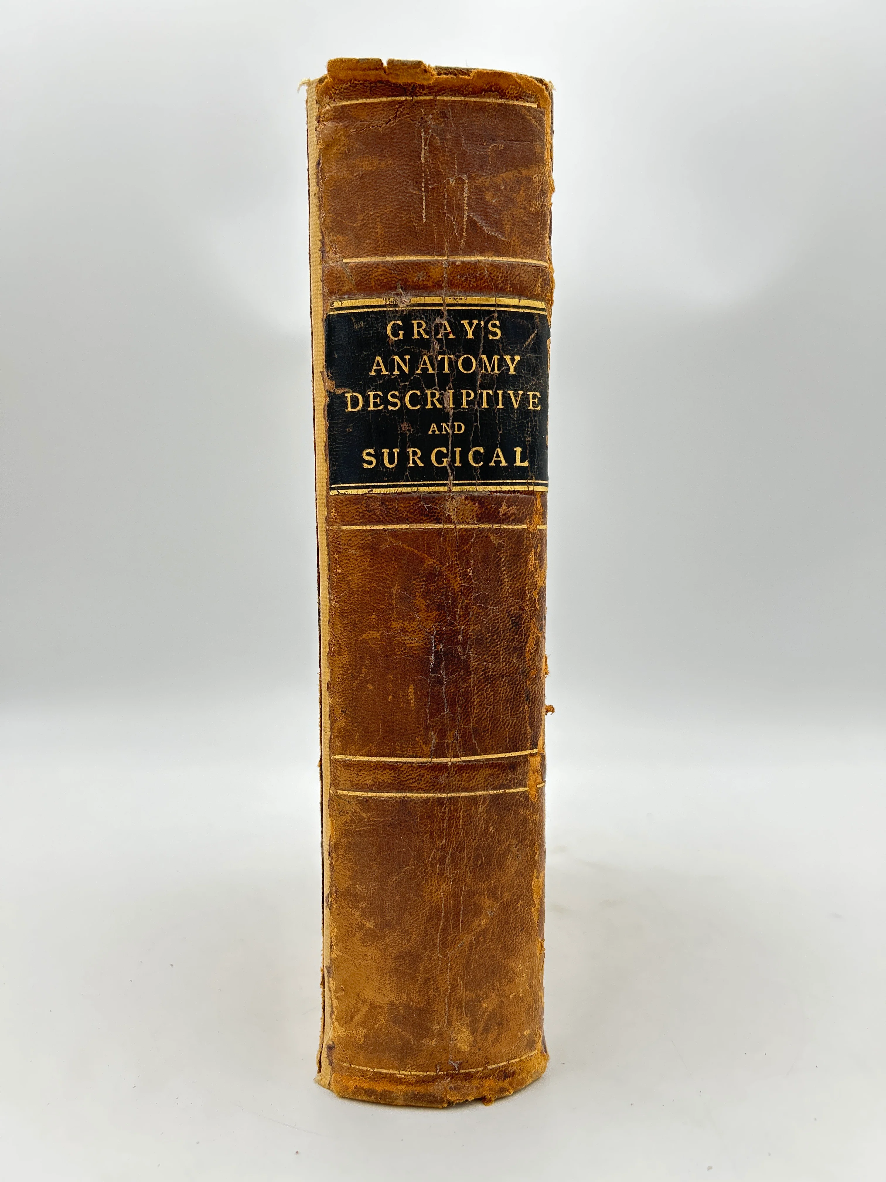 Gray's Anatomy Descriptive and Surgical - Image 6