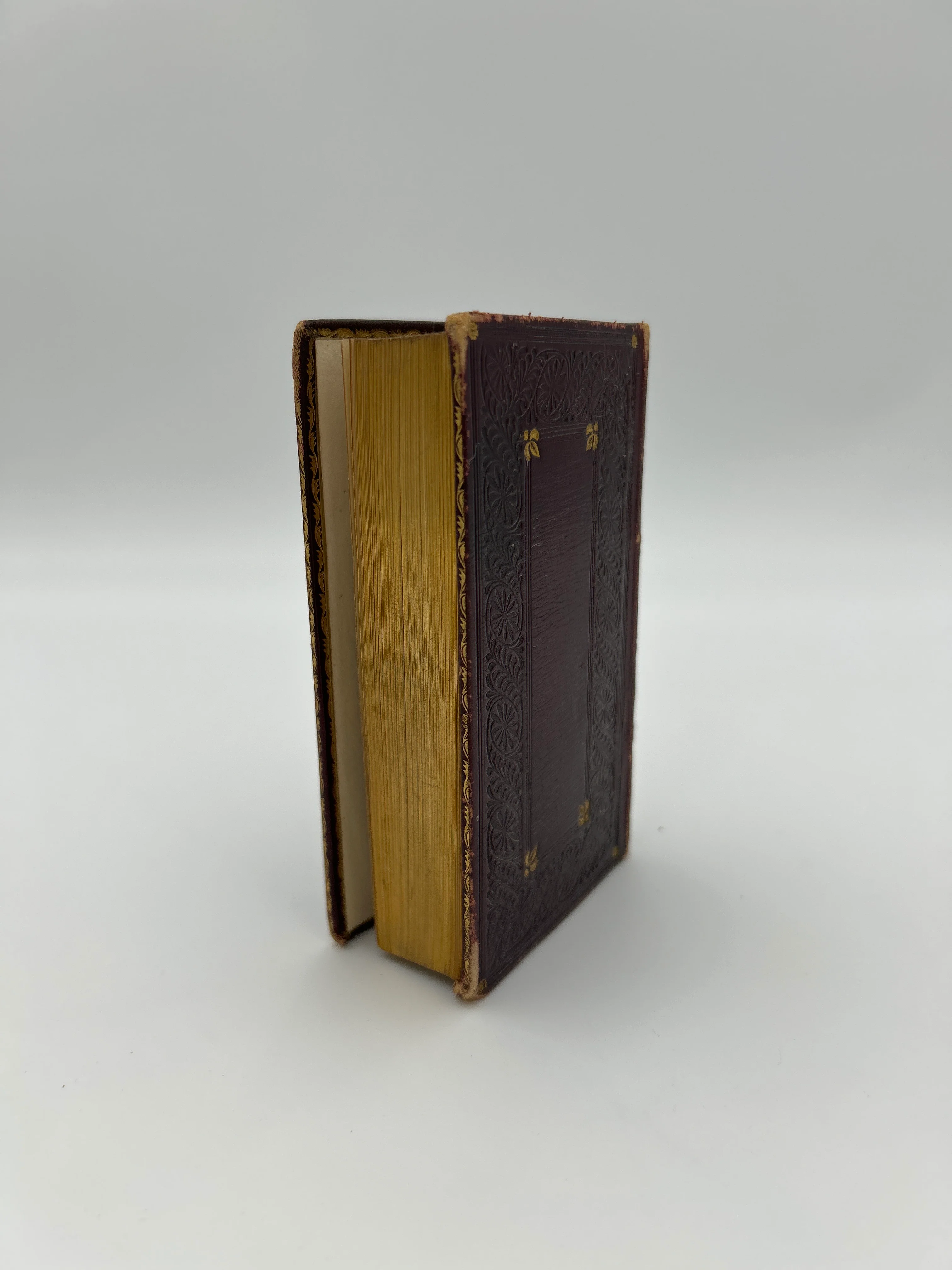 Greek New Testament - Image 2