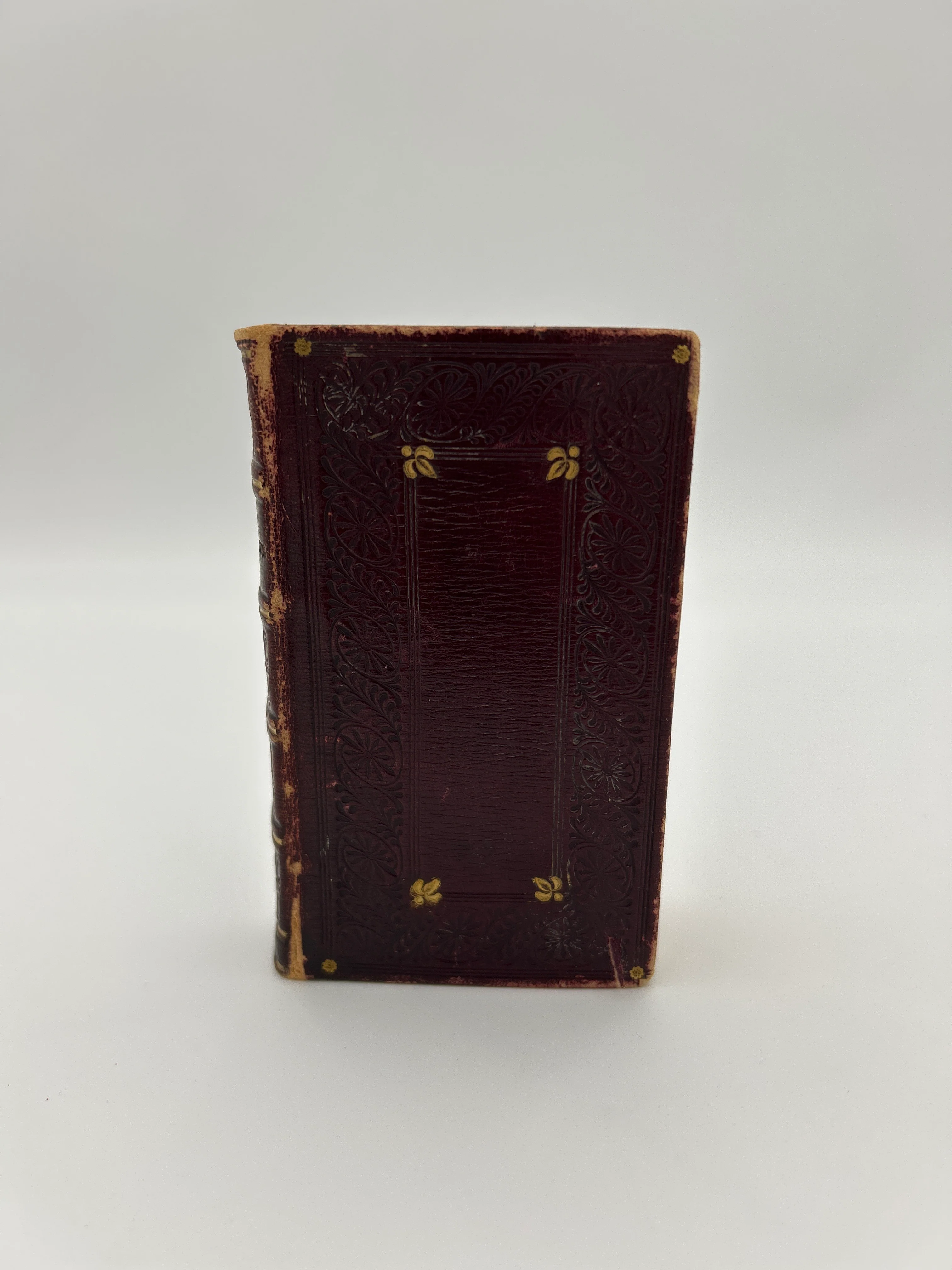Greek New Testament - Image 3