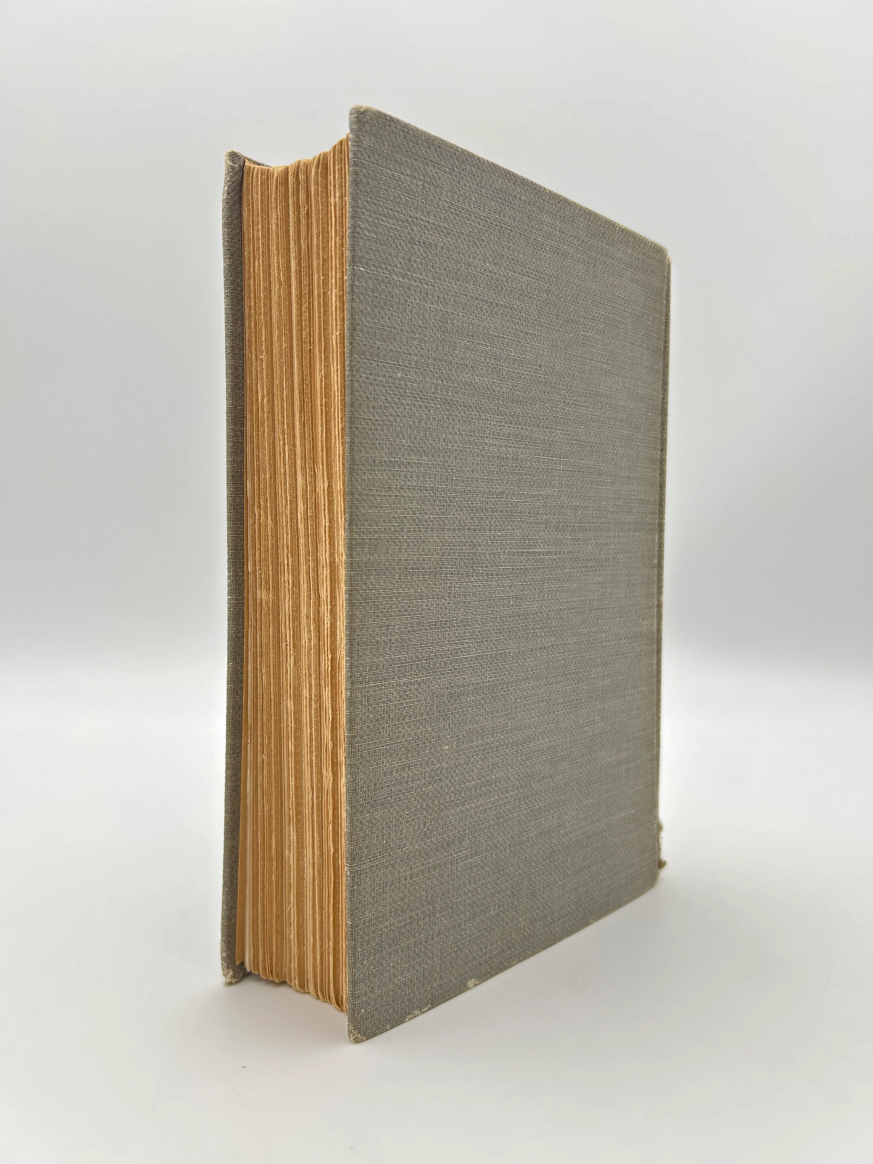Grey Eminence - Image 4