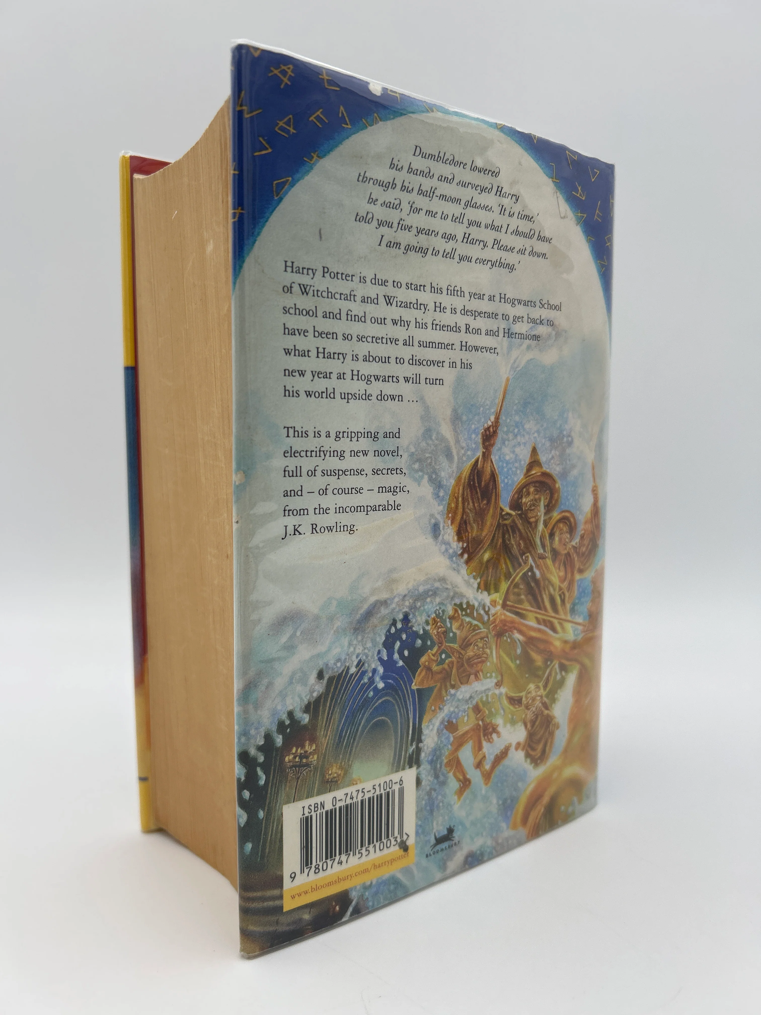 Harry Potter and the Order of the Phoenix - Image 3
