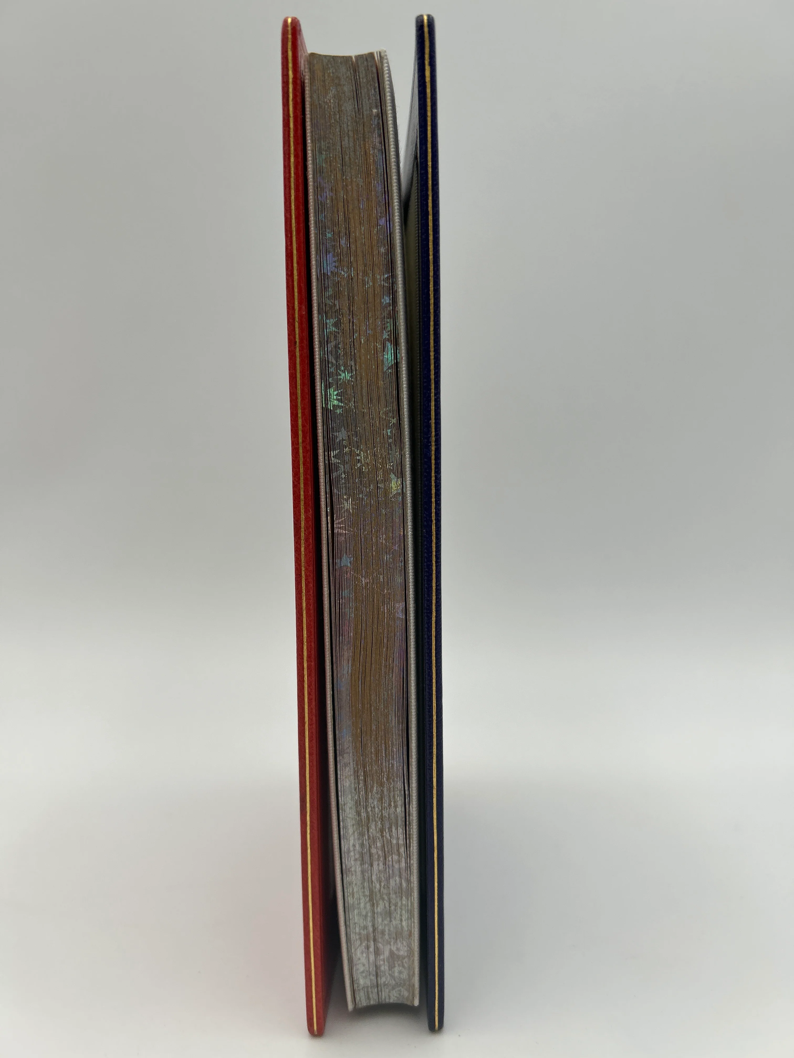 Harry Potter and the Philosopher's Stone - First Edition Leather Bound - Image 4