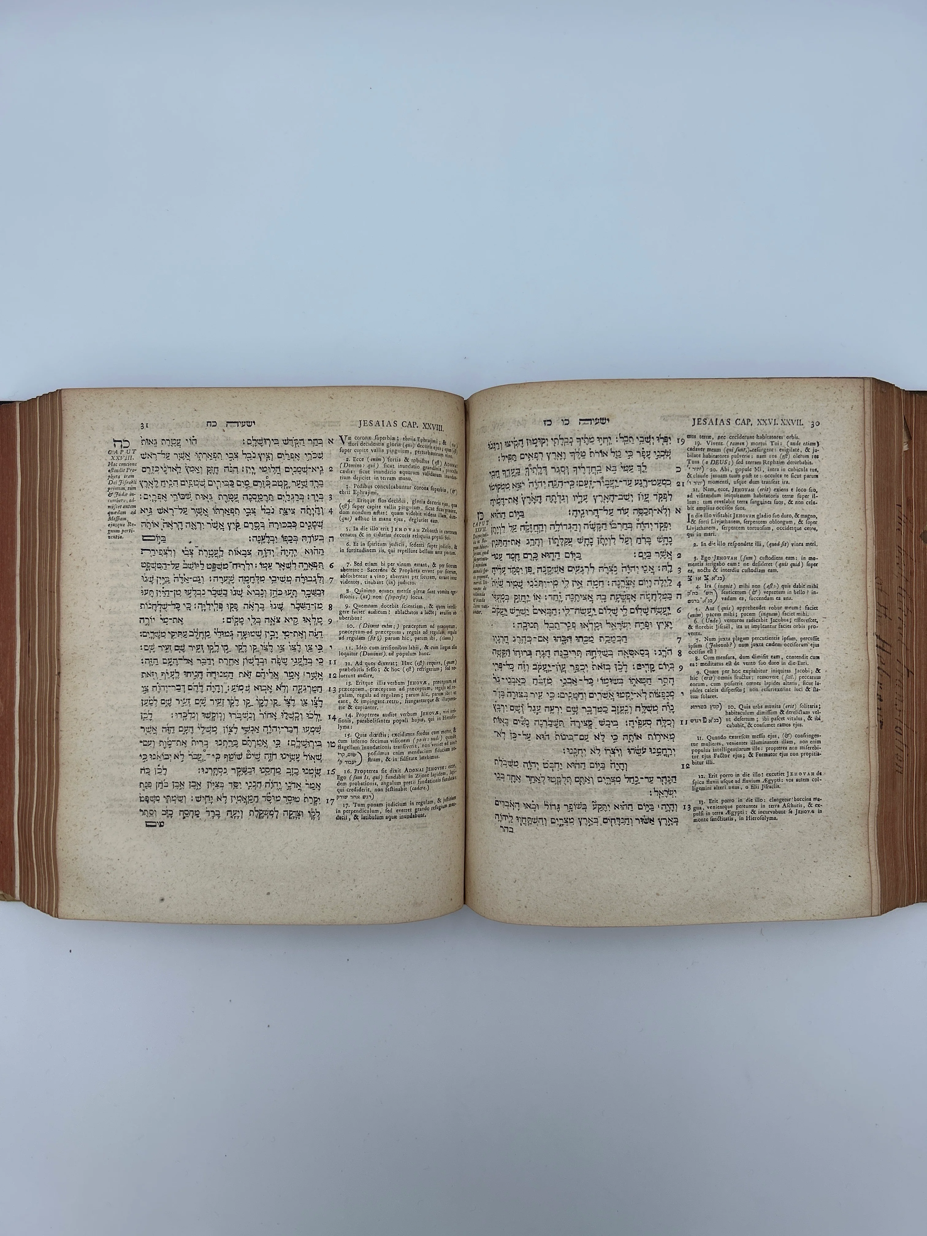 Hebrew Bible 1740 - Image 4