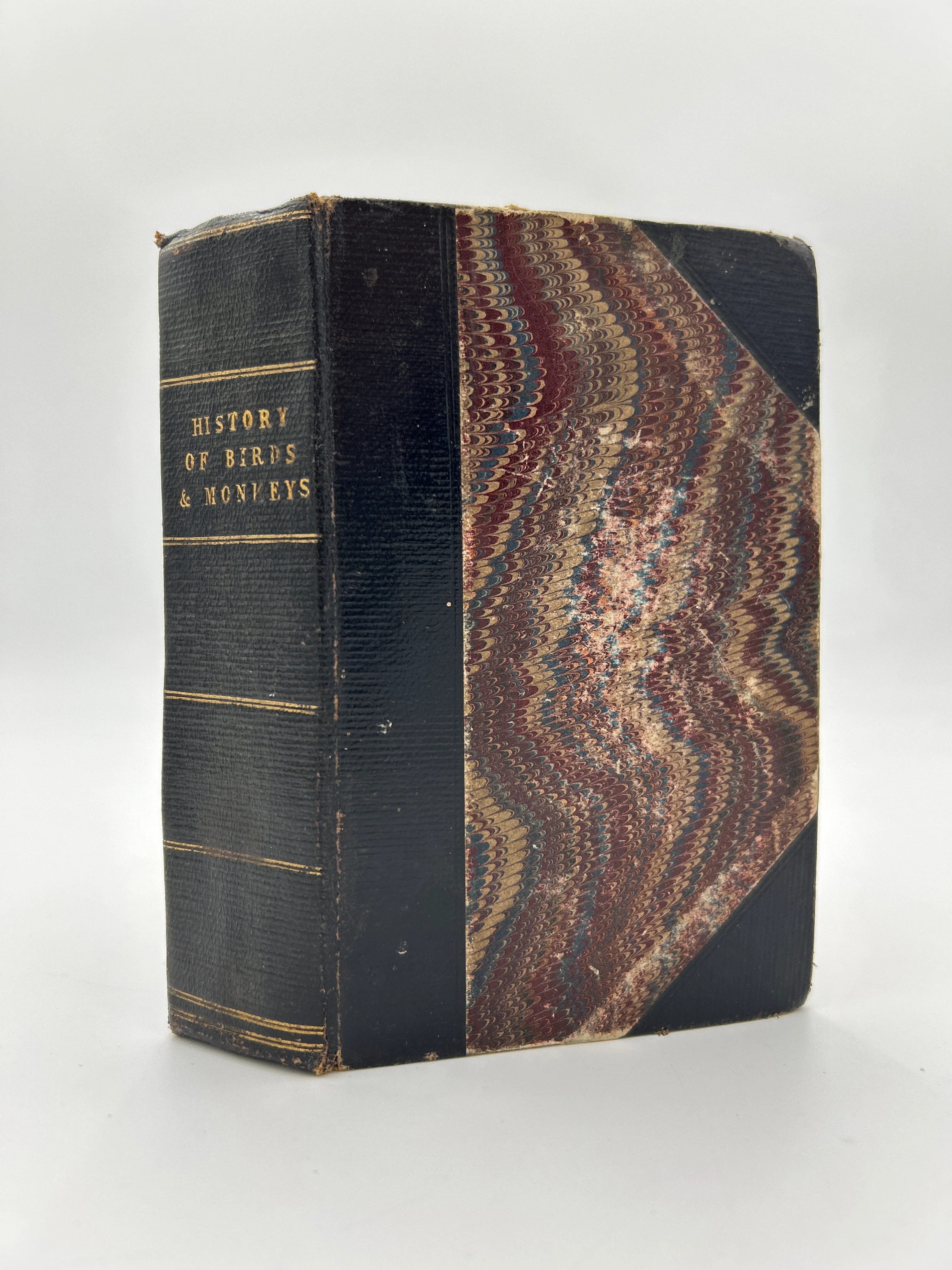 History of Birds and Monkeys