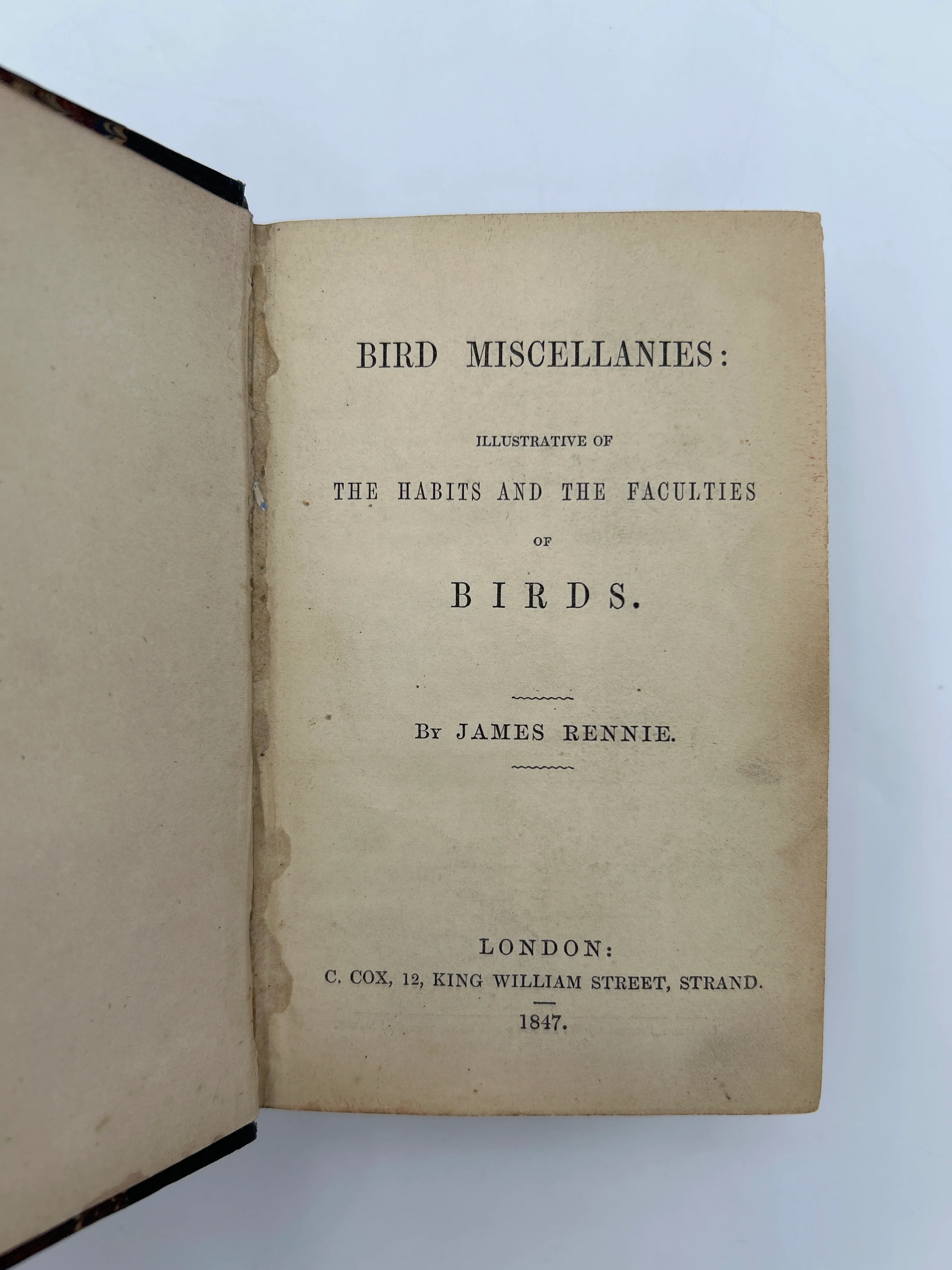 History of Birds and Monkeys - Image 4