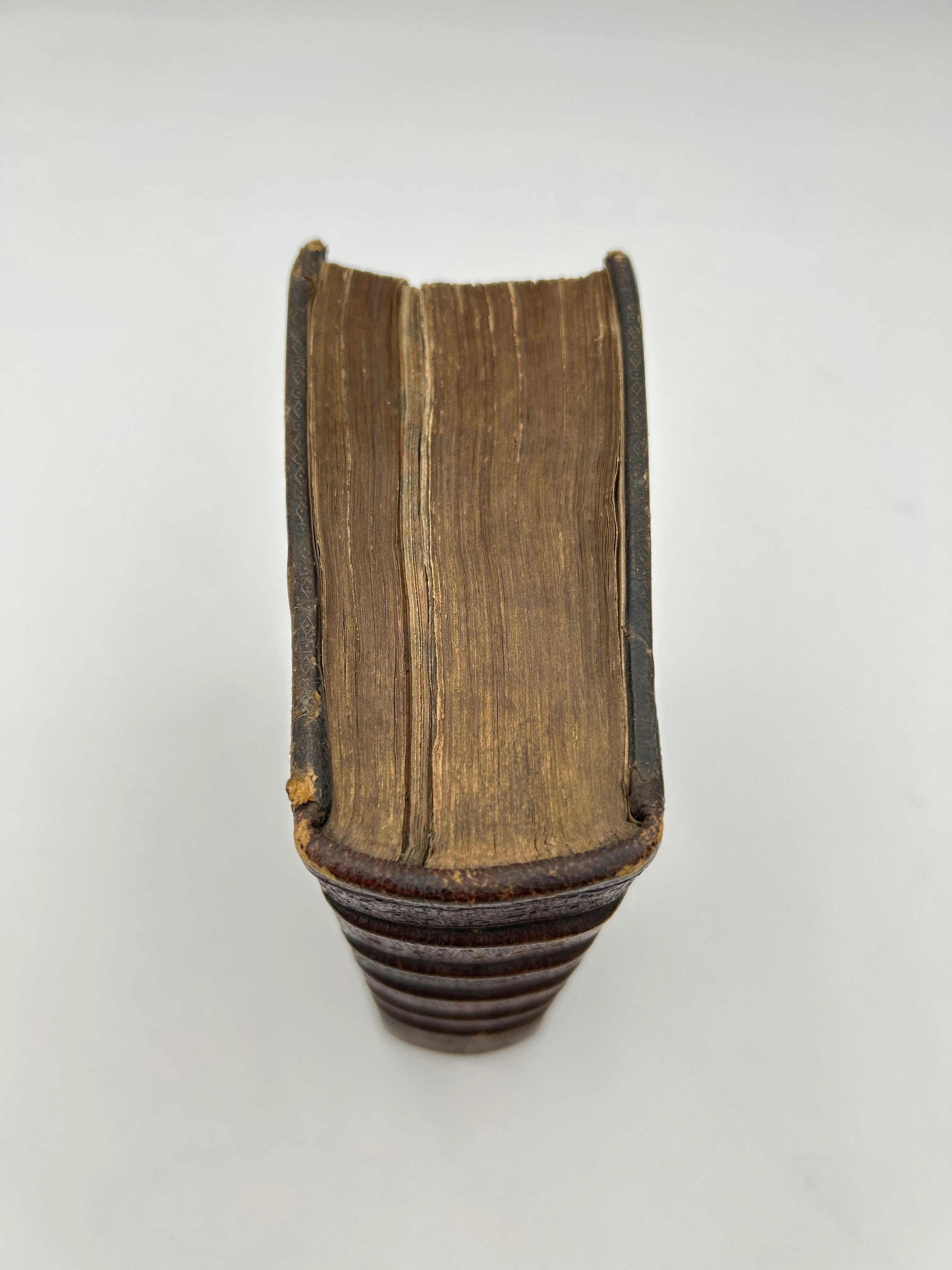 Holy Bible 1633 - Image 11