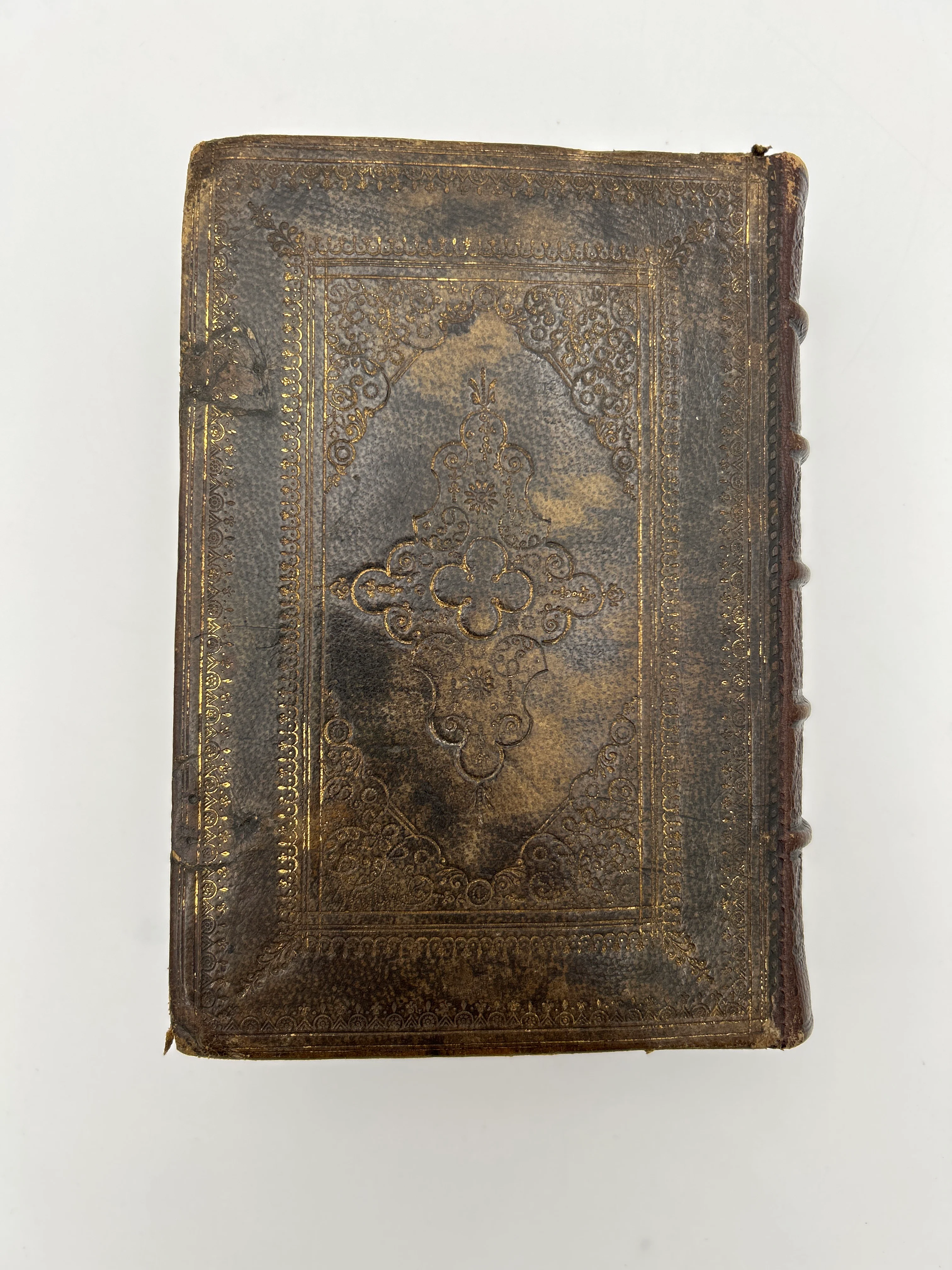 Holy Bible 1633 - Image 13