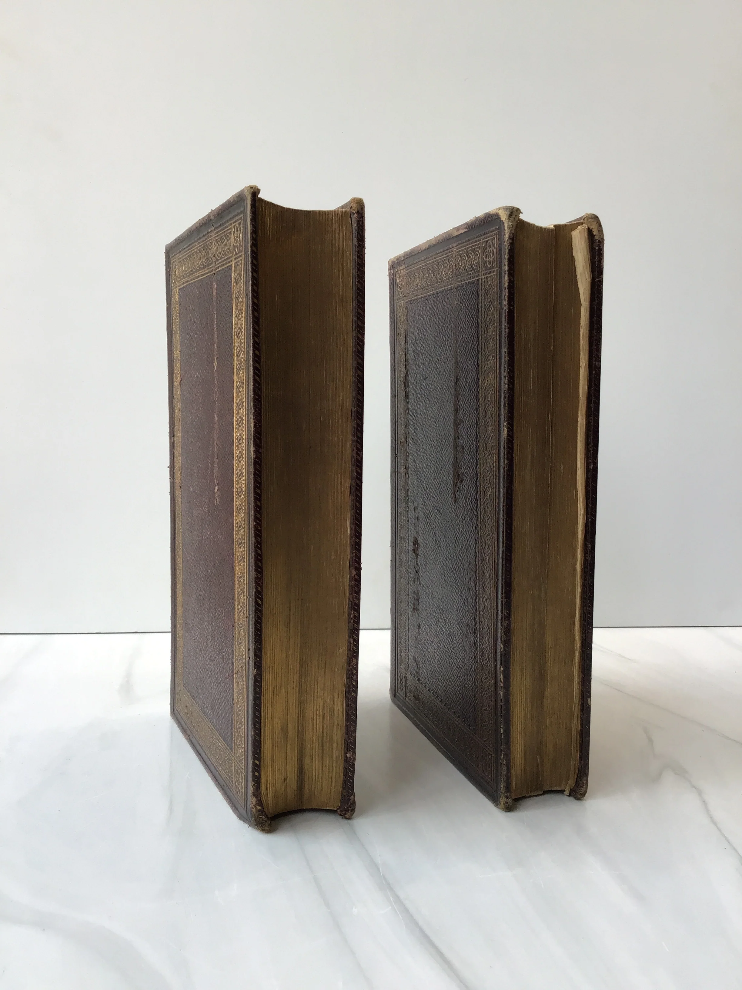 Holy Bible - Image 4